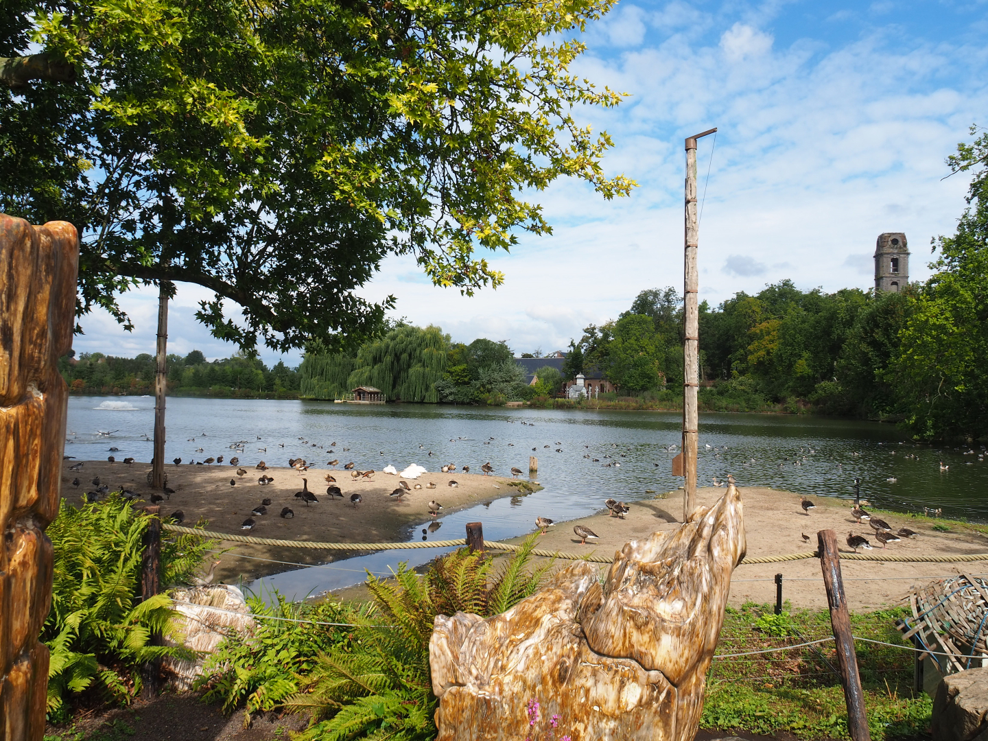 View of lake, 2022-09-15