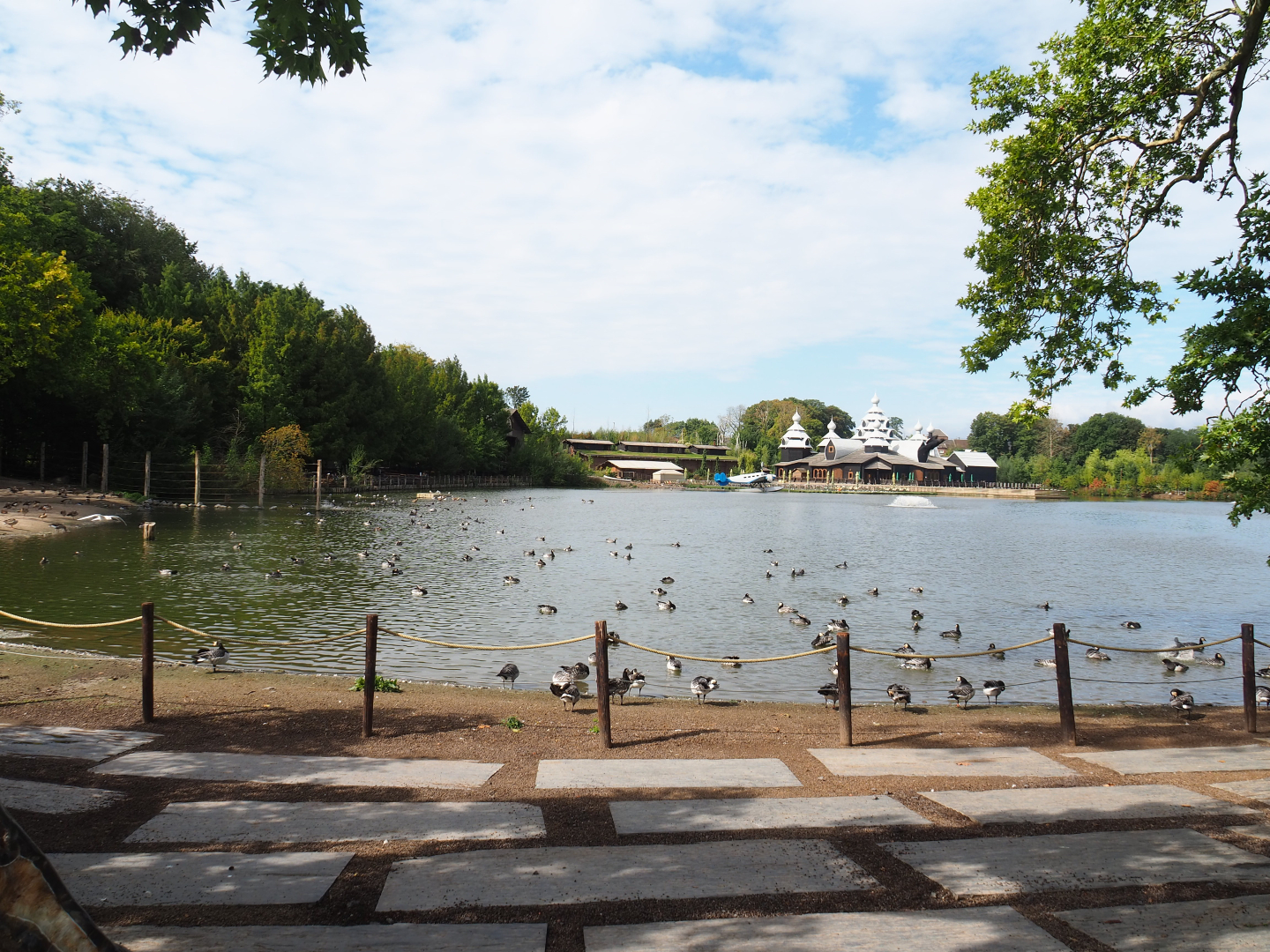 View of lake, 2022-09-15