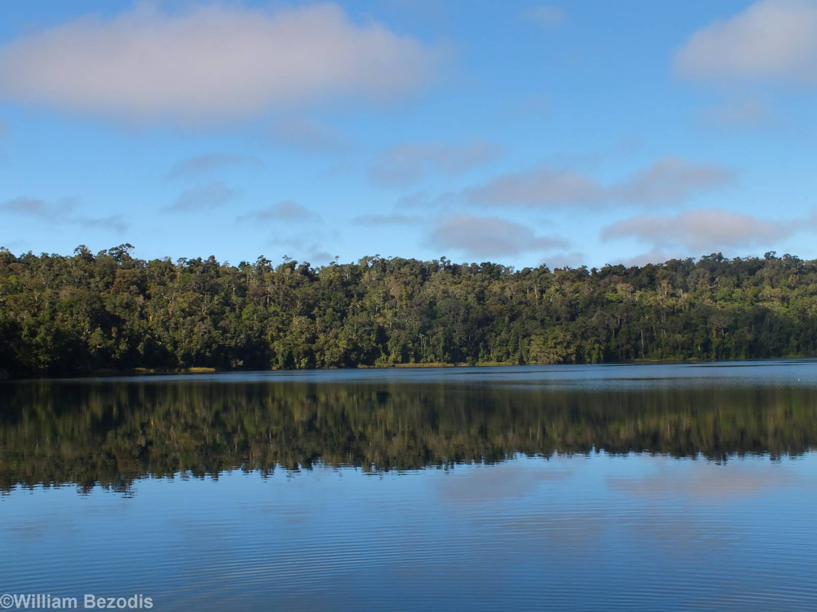 View of Lake Barrine Crater Lake