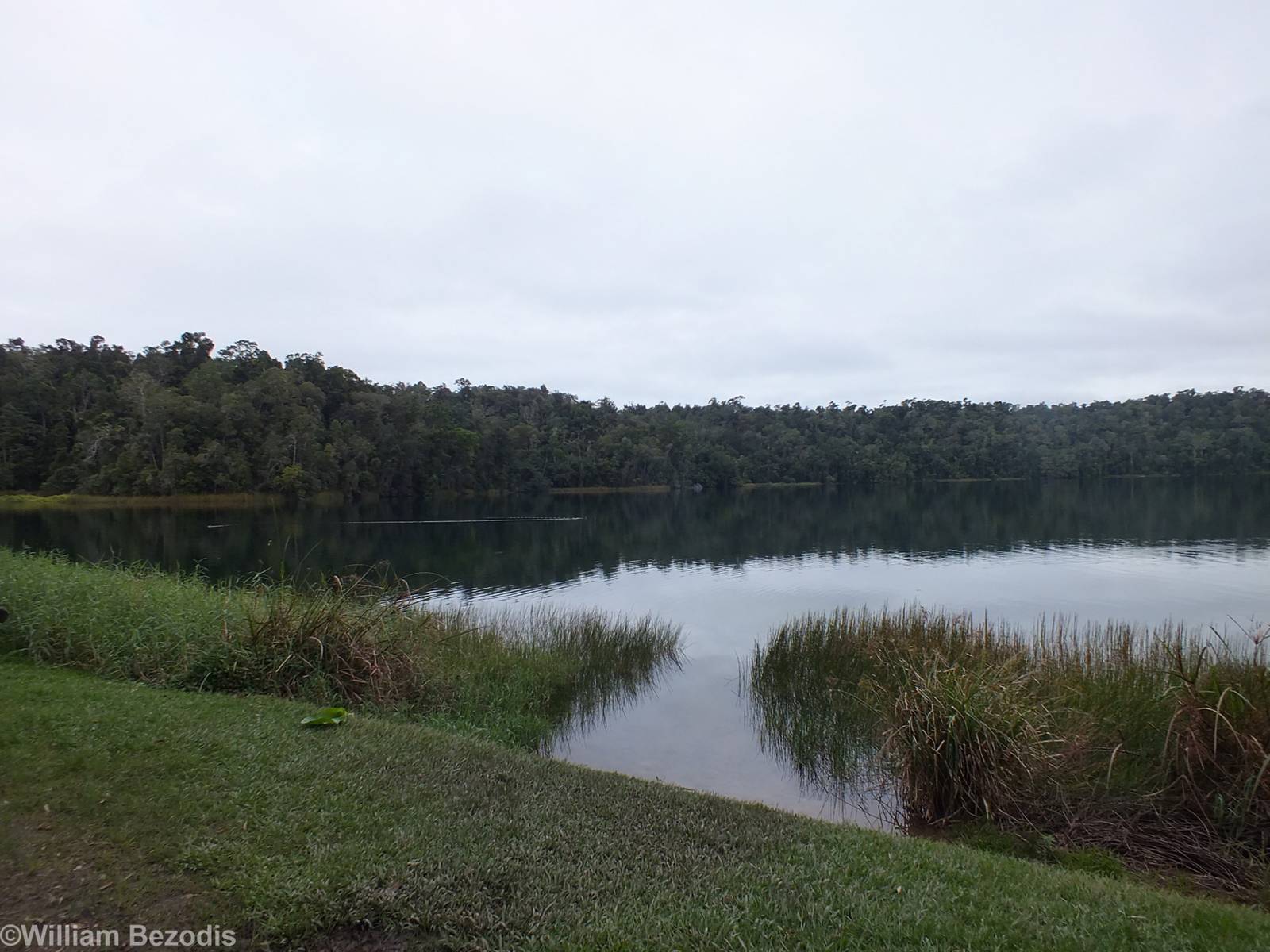 View of Lake Barrine