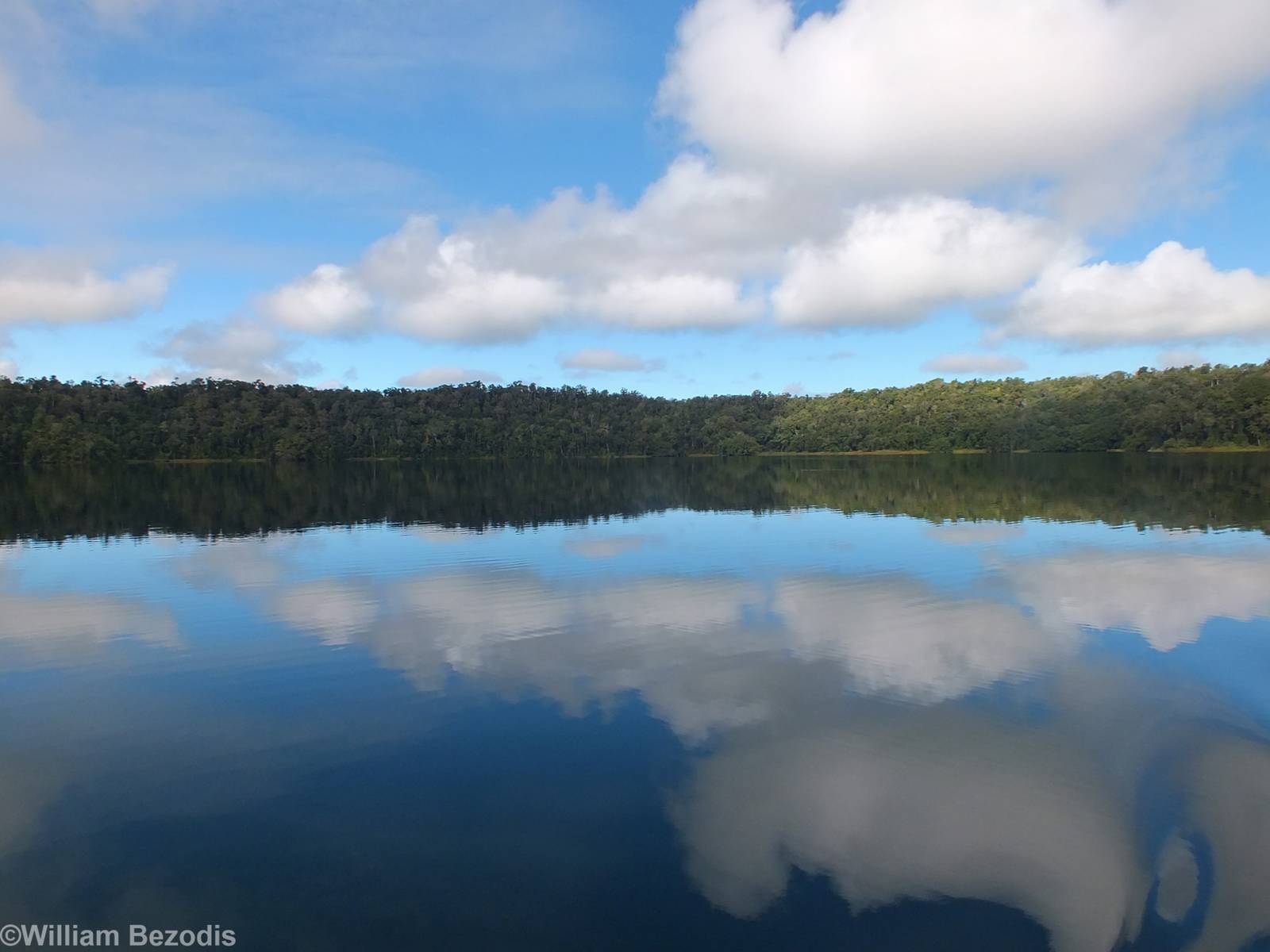 View of Lake Barrine