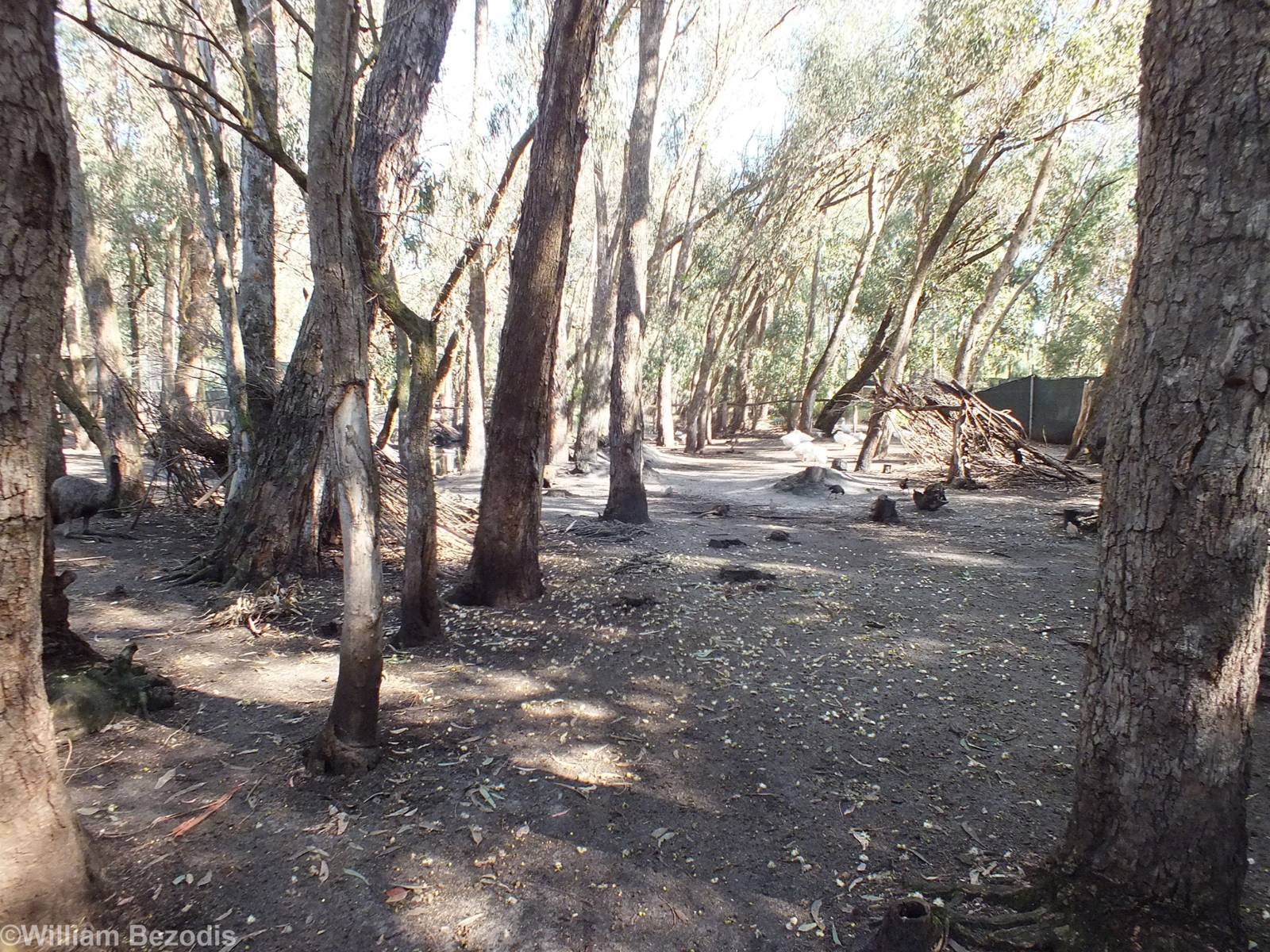 View of Lake Enclosure