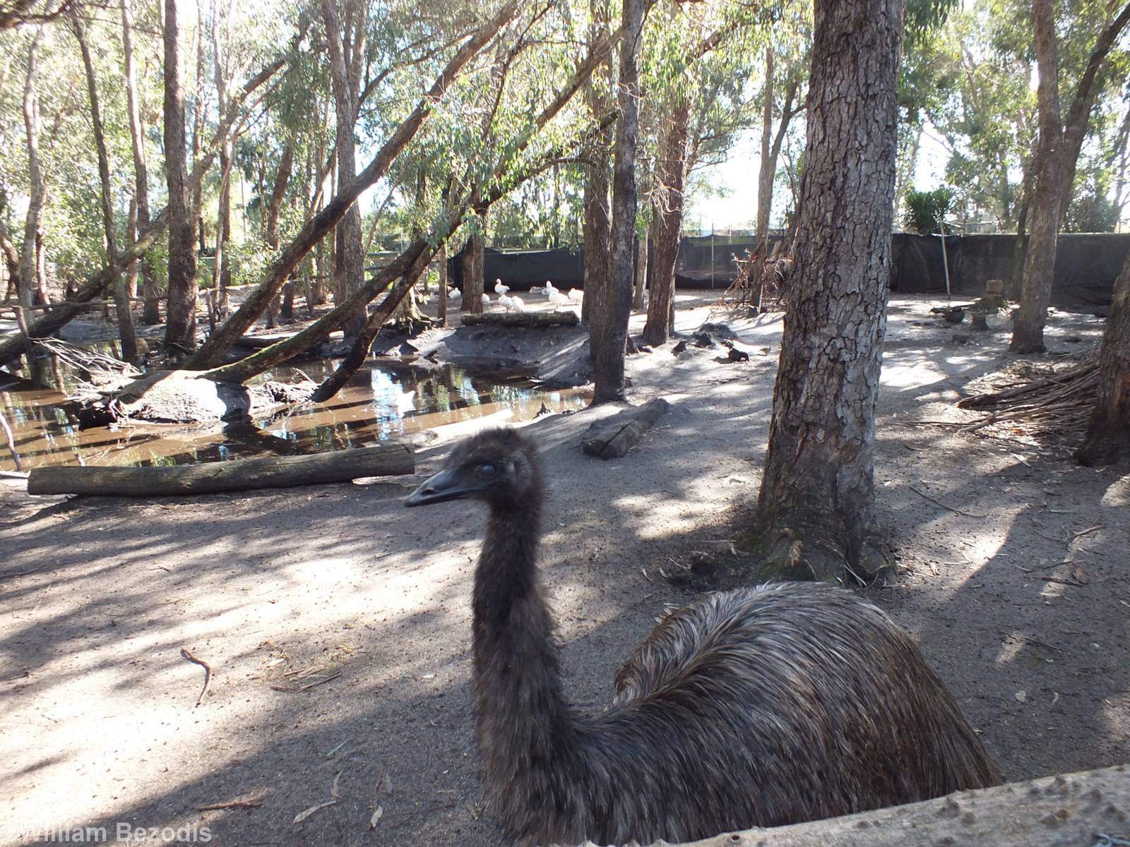 View of Lake Enclosure