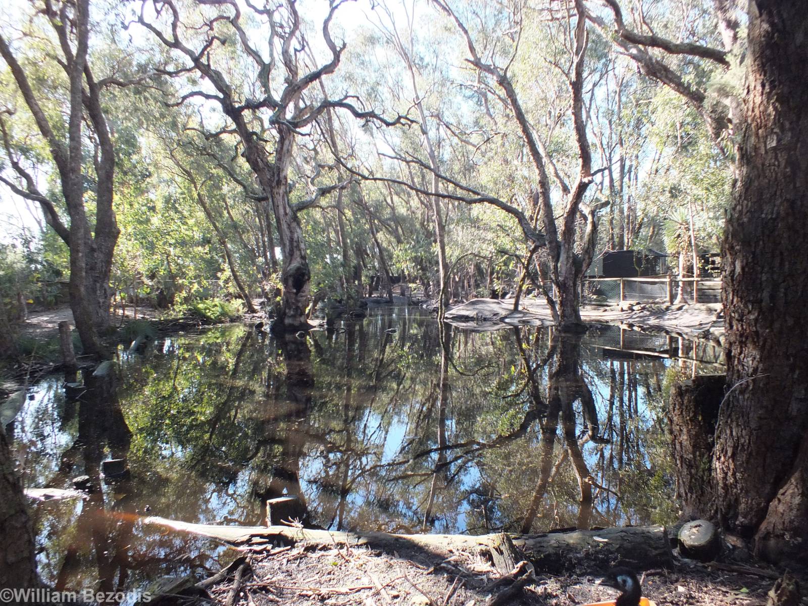 View of Lake Enclosure