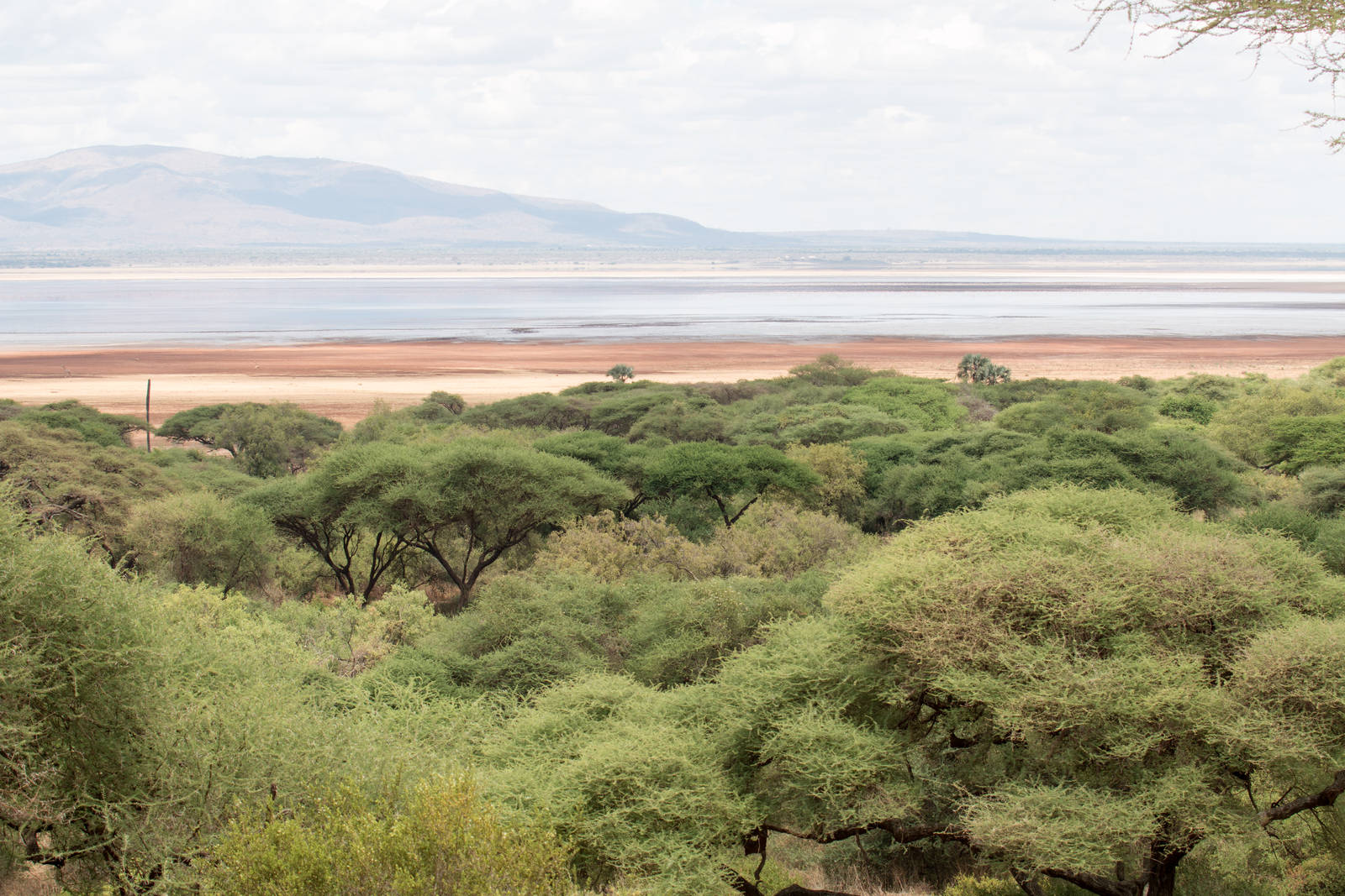 View of Lake Manyara