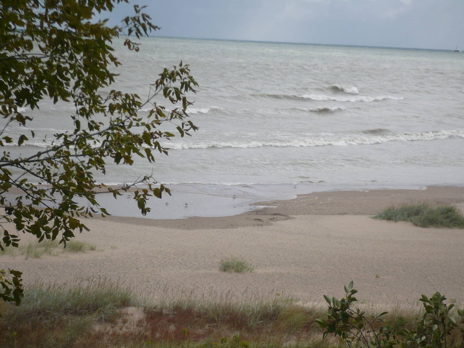 View of Lake Michigan from the Zoo
