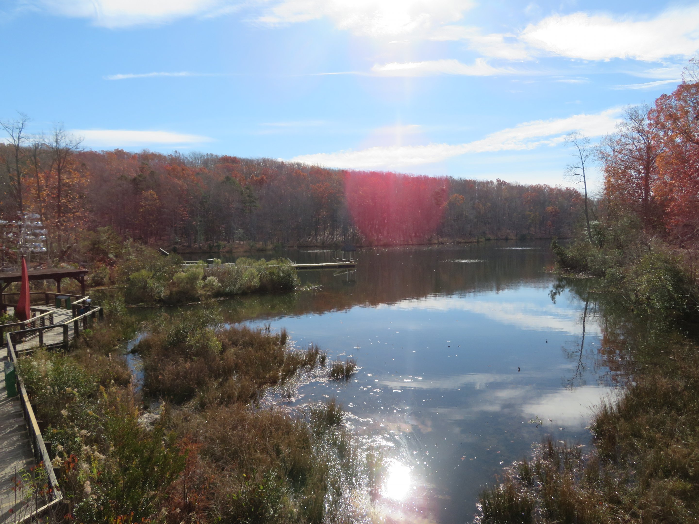 View of Lake/Wetland