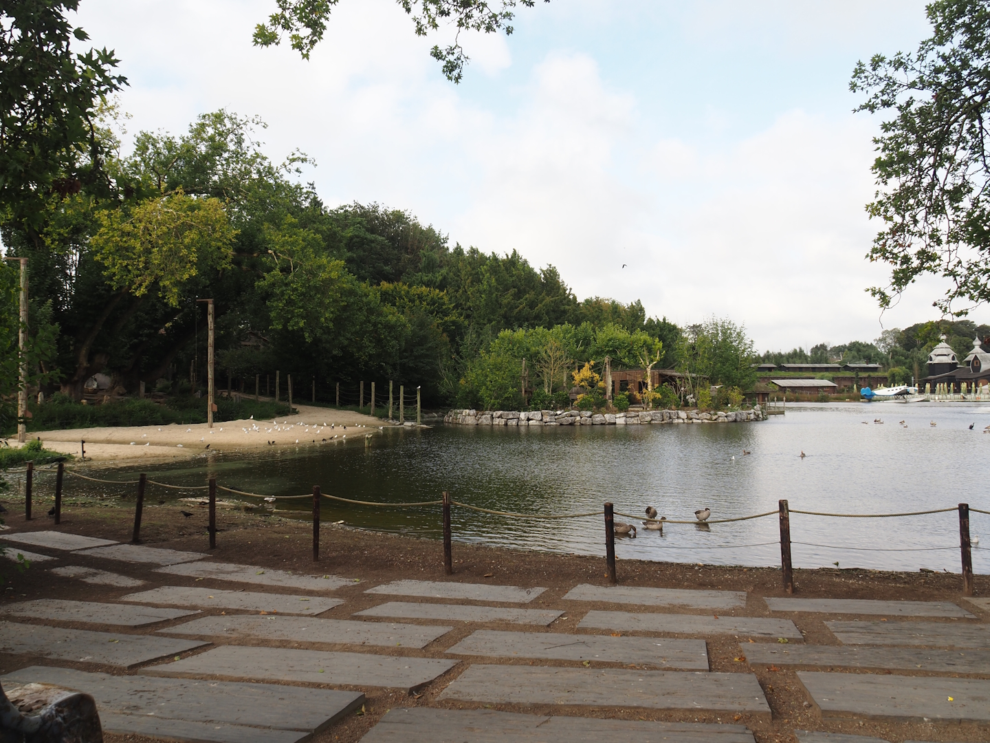 View of lake with squirrel monkey island and beach and bathing and swimming area for elephants, 2024-09-17