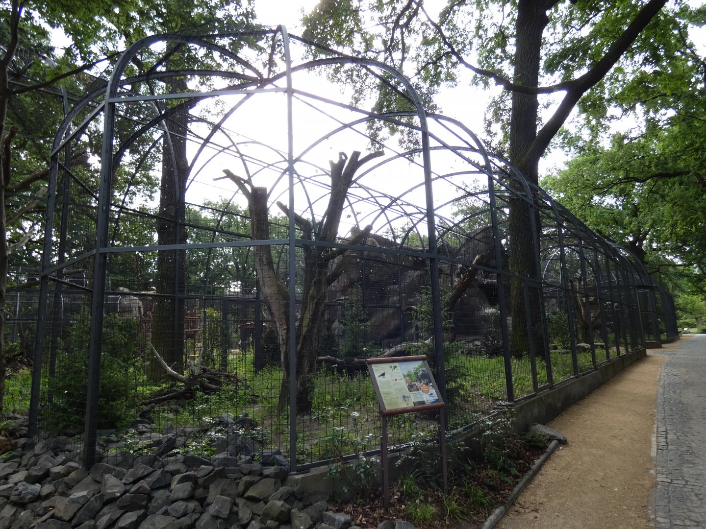 View of Lammergeier aviary