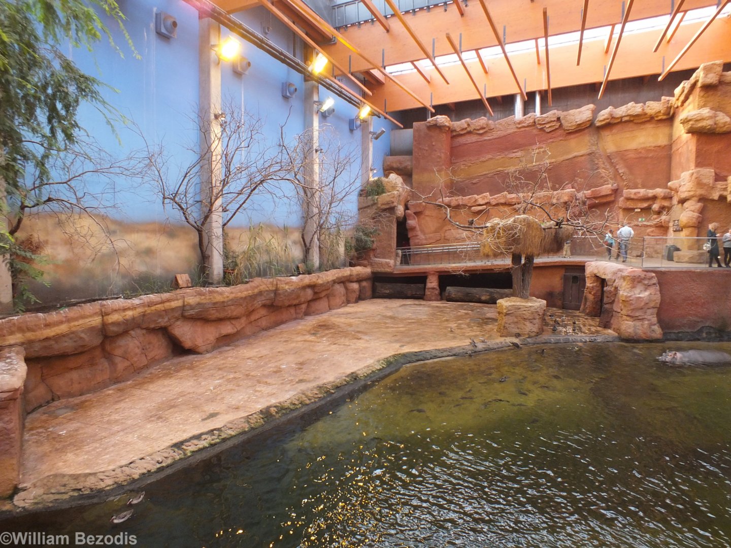 View of Land Area and part of Water Area of Hippo Enclosure - Afrykarium