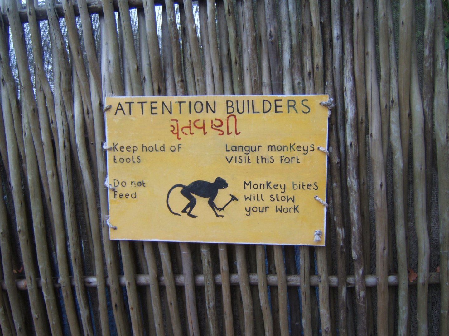 View of Land of Lions