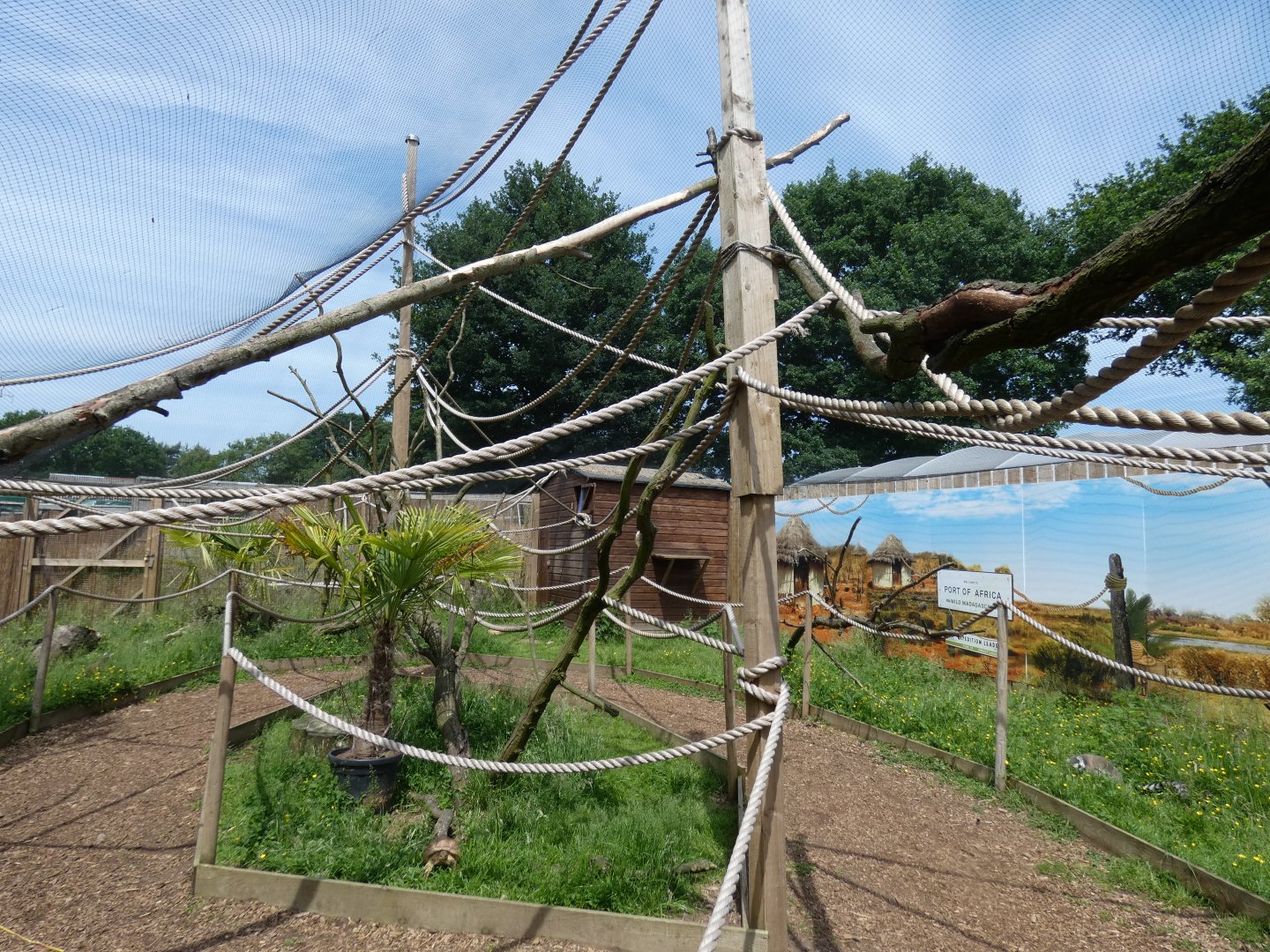 View of 'Land of the Lemur'