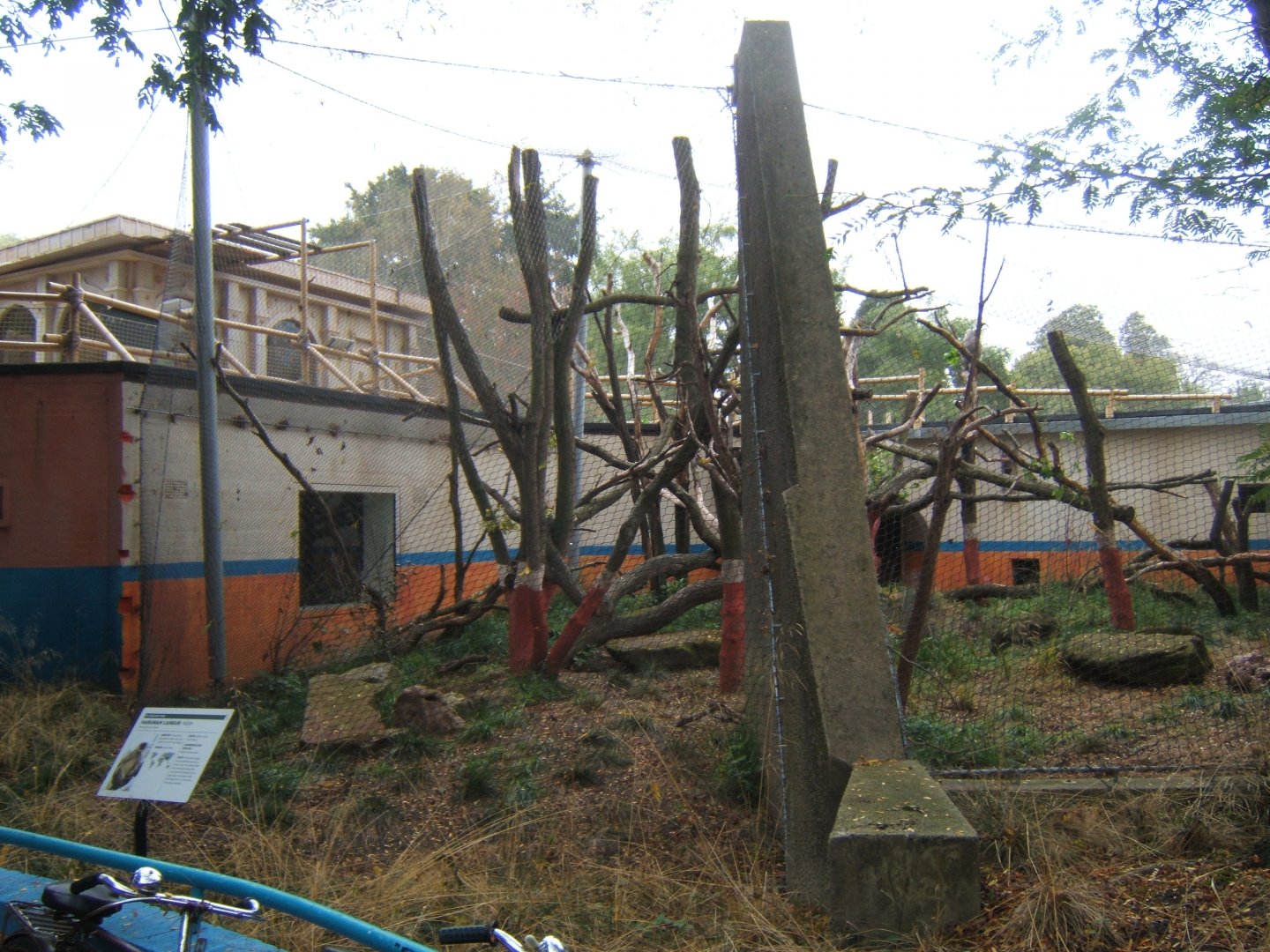 View of Langur enclosure