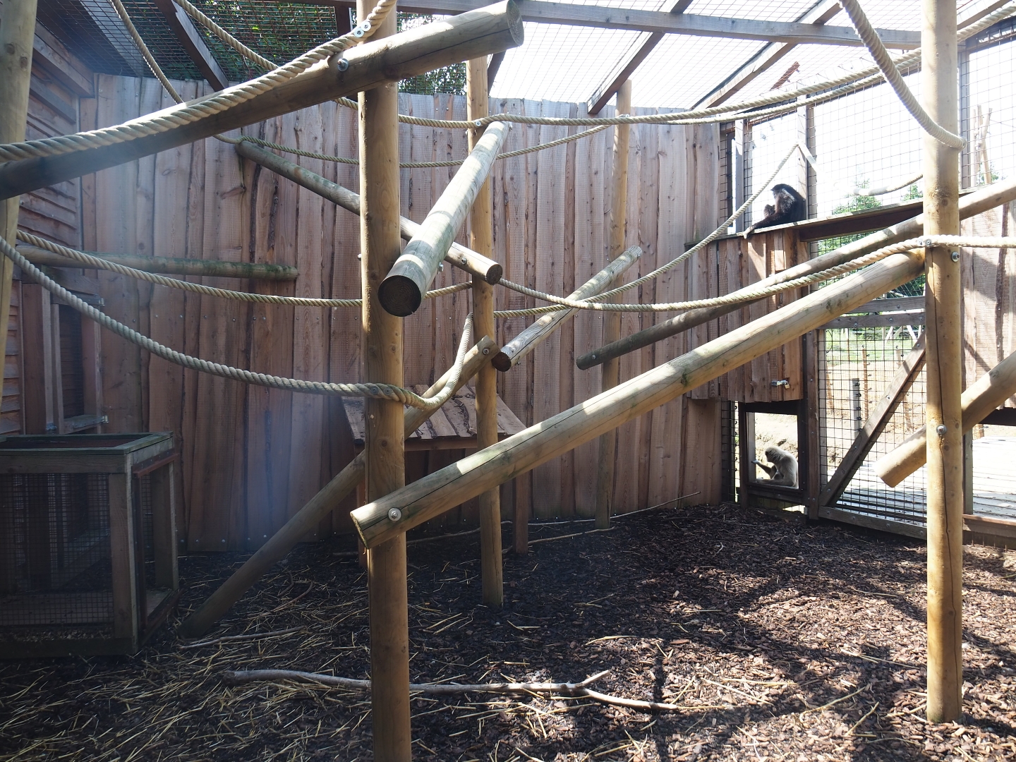 View of Lar gibbon cage