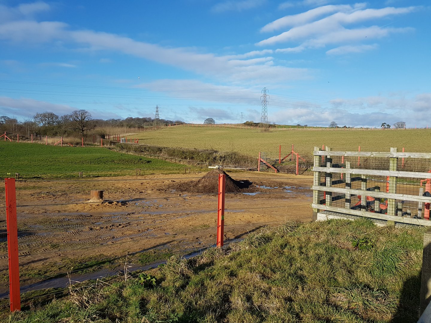 View of large elephant padock in the background - Noahs Ark Zoo Farm