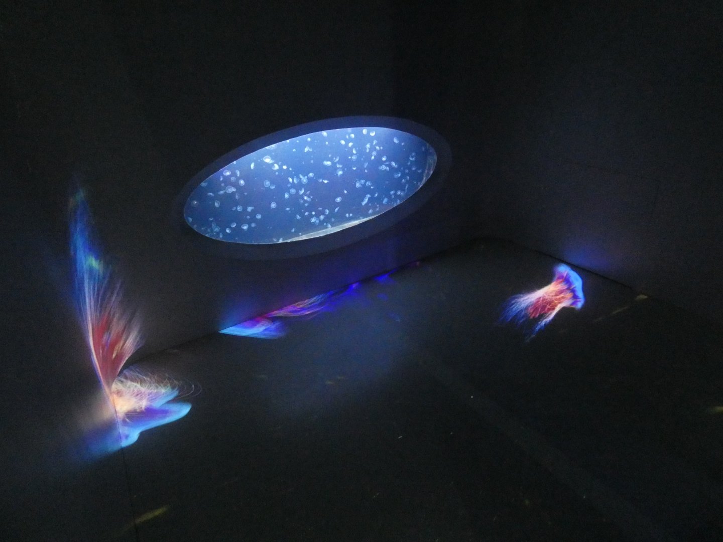 View of large hall - Svět Medúz