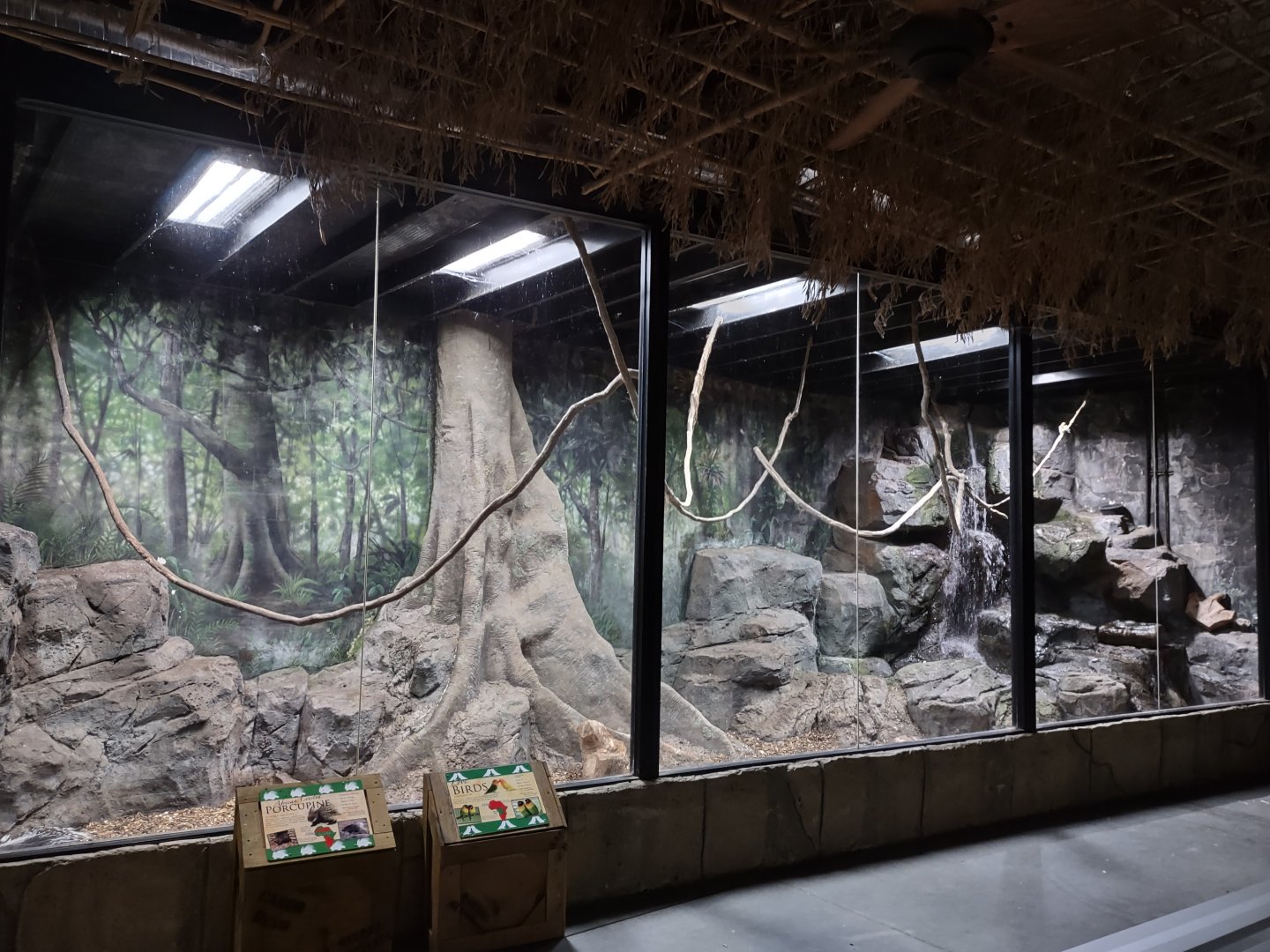 View of large porcupine enclosure