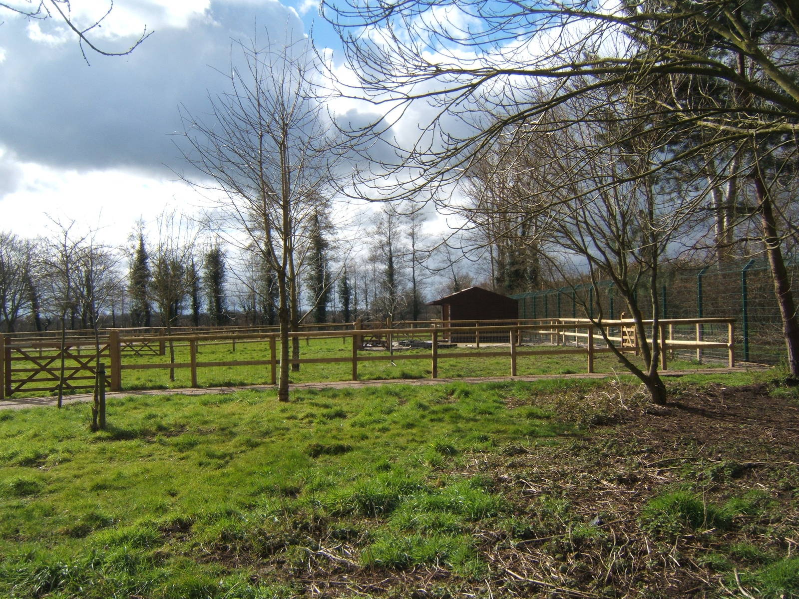 View of latest construction work on the extentsion