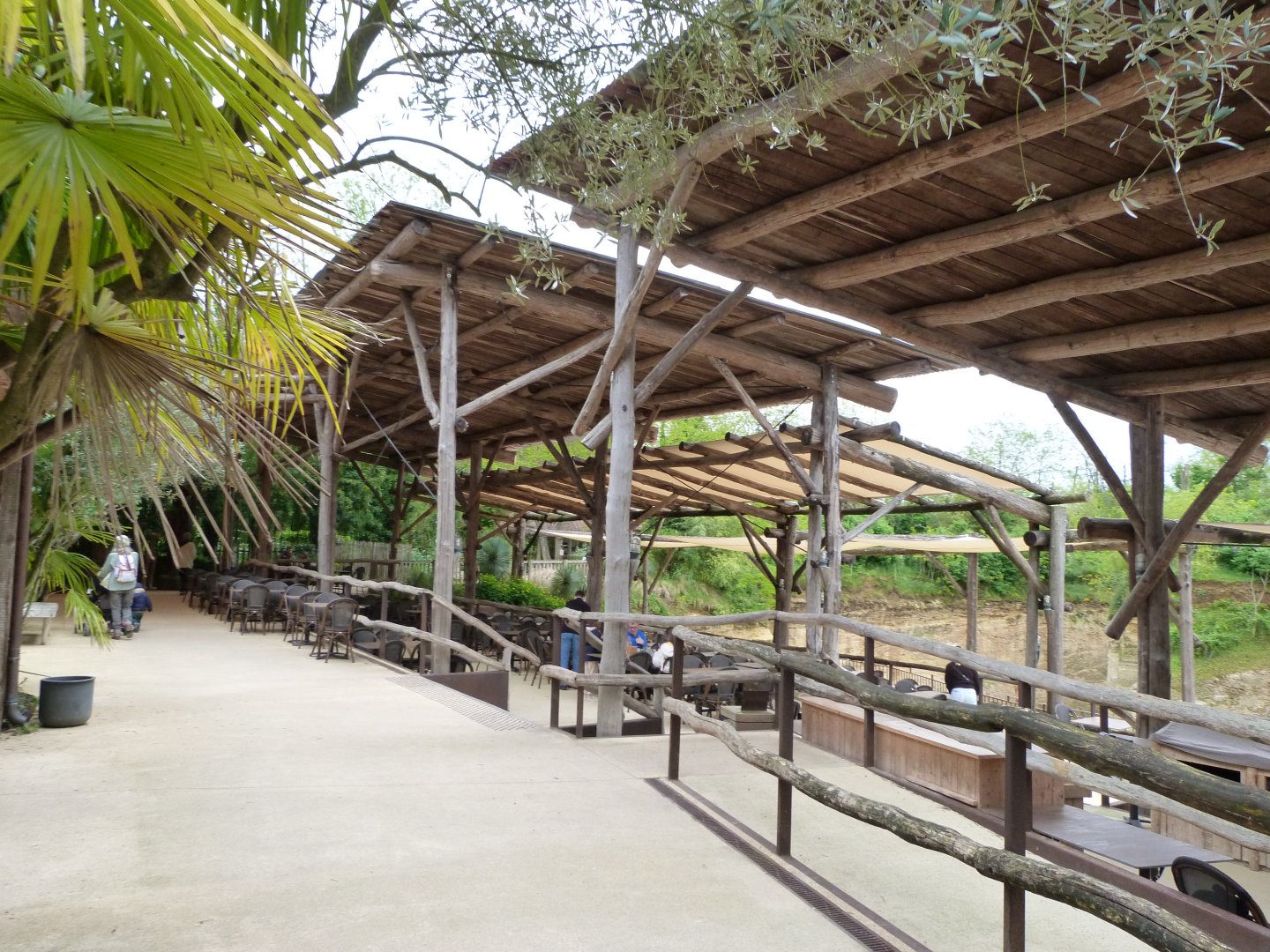 View of "Le Camp des girafes" from the restaurant -Bioparc de Doué la Fontaine (2025)