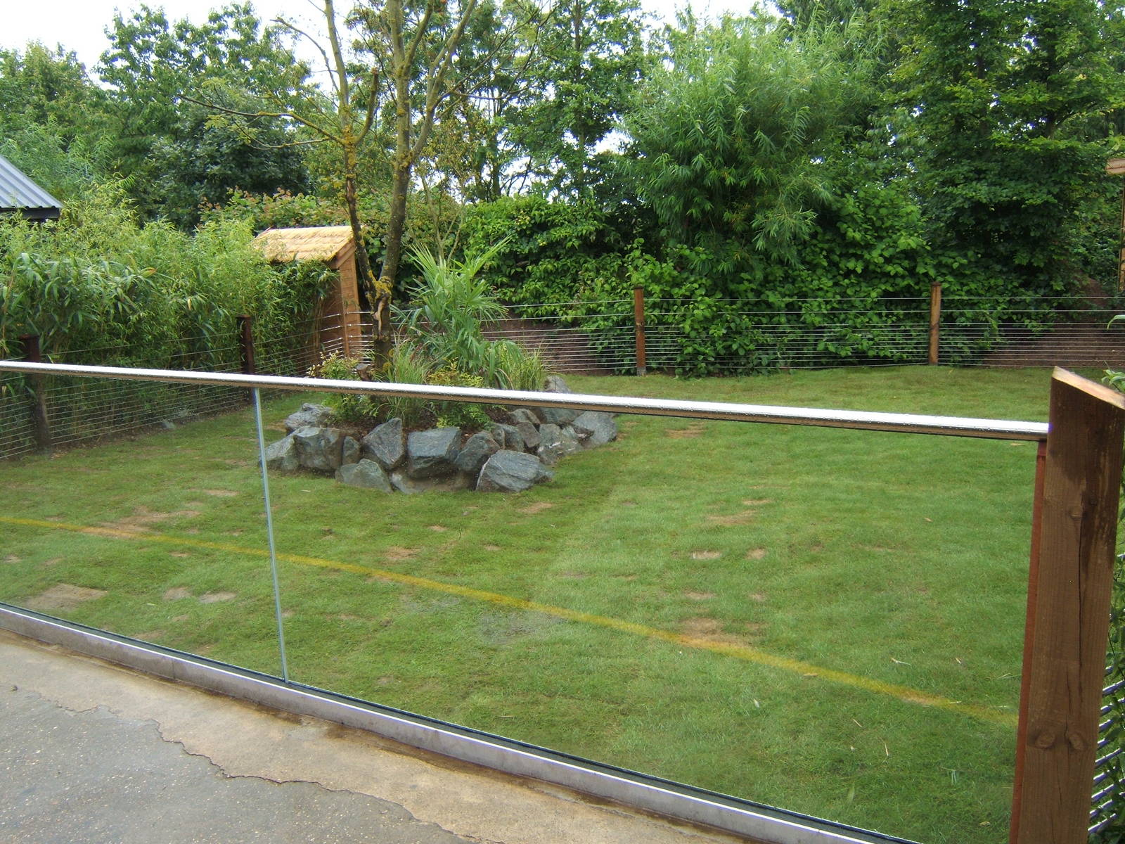View of left hand side outdoor Tortoise exhibit