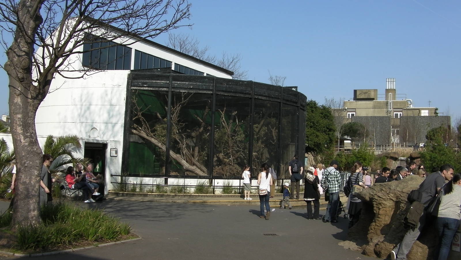 View of Lemur Enclosure - 24.03.2012