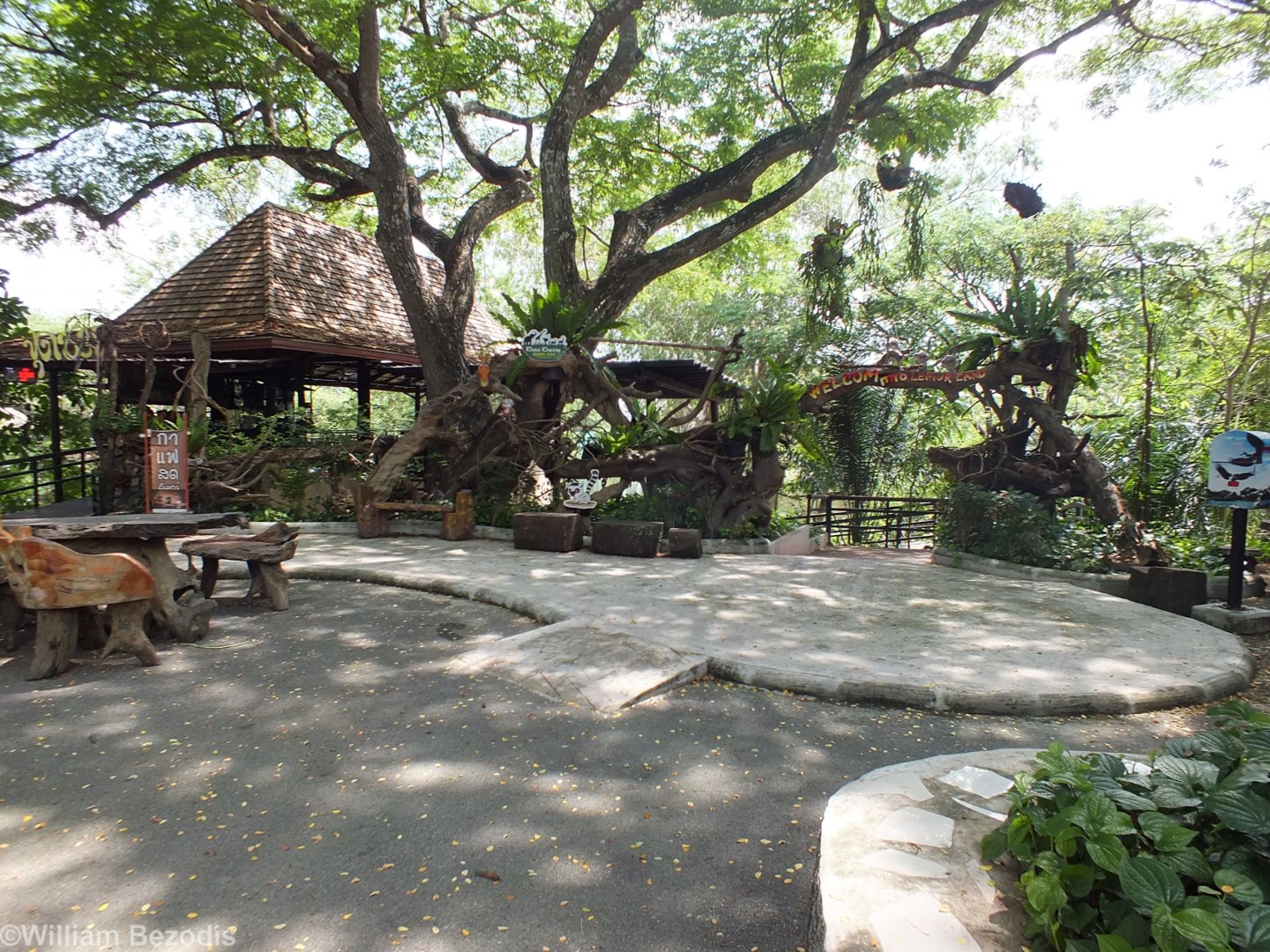 View of Lemur Enclosure Area