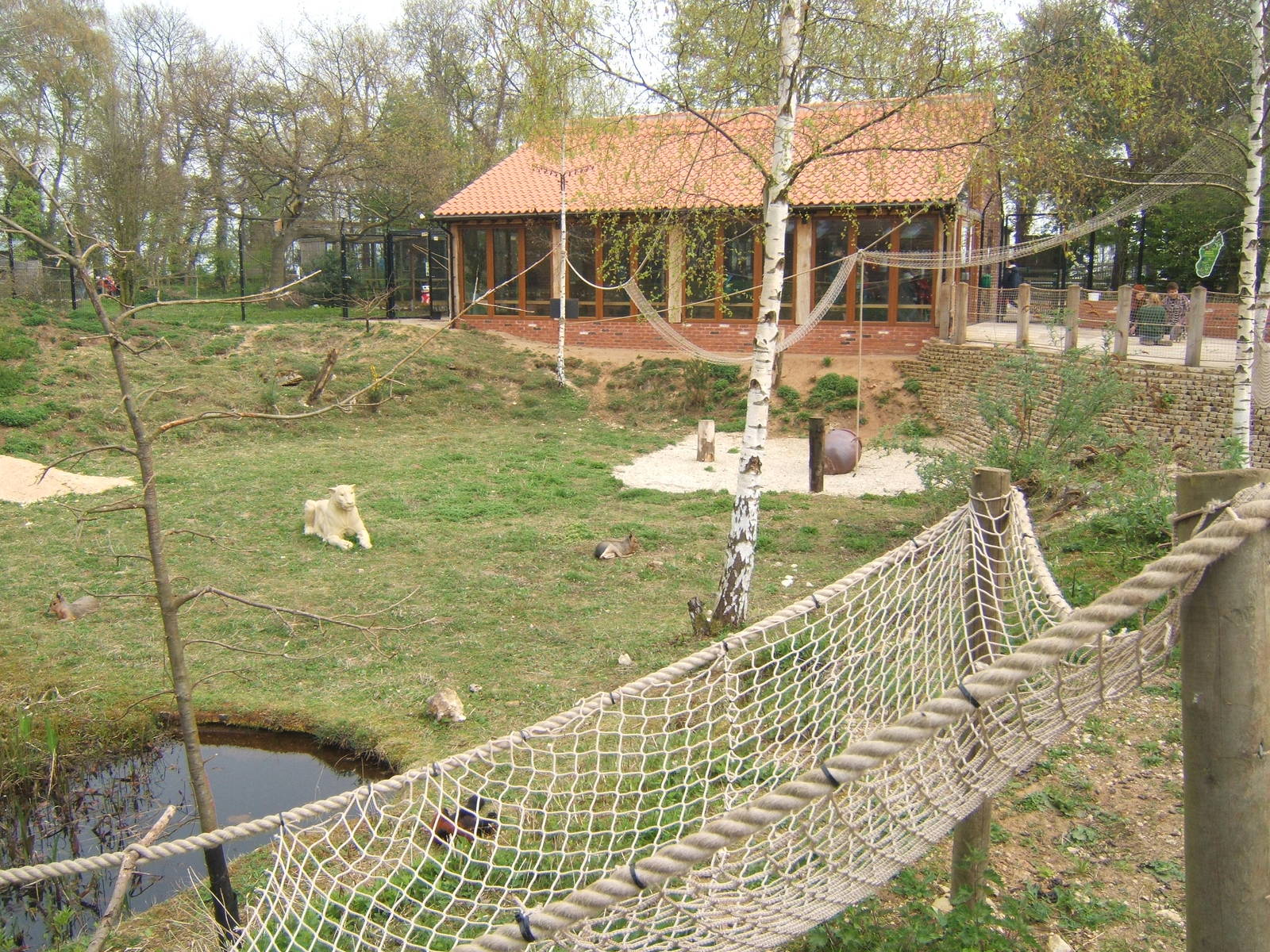 View of Lemur enclosure