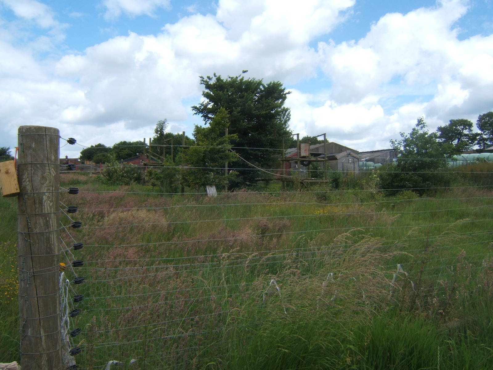 View of lemur enclosure