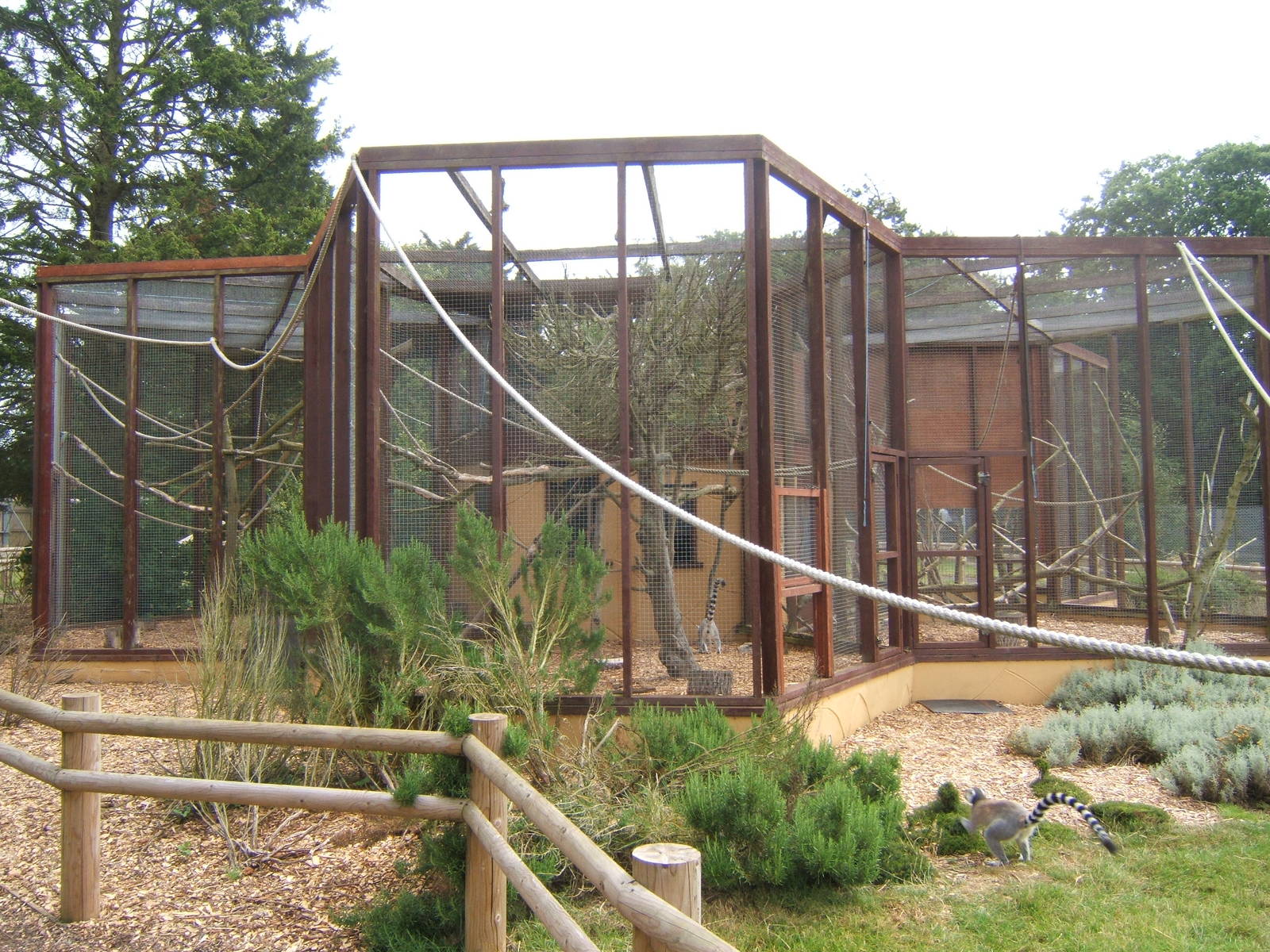 View of Lemur housing inside the Lemur encounter