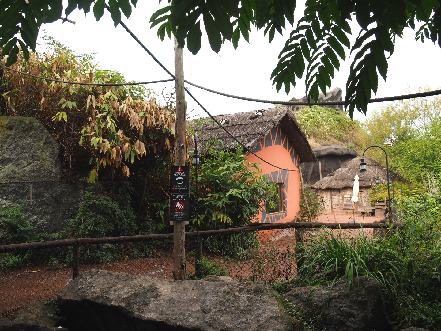 View of lemur island, 2022-09-15