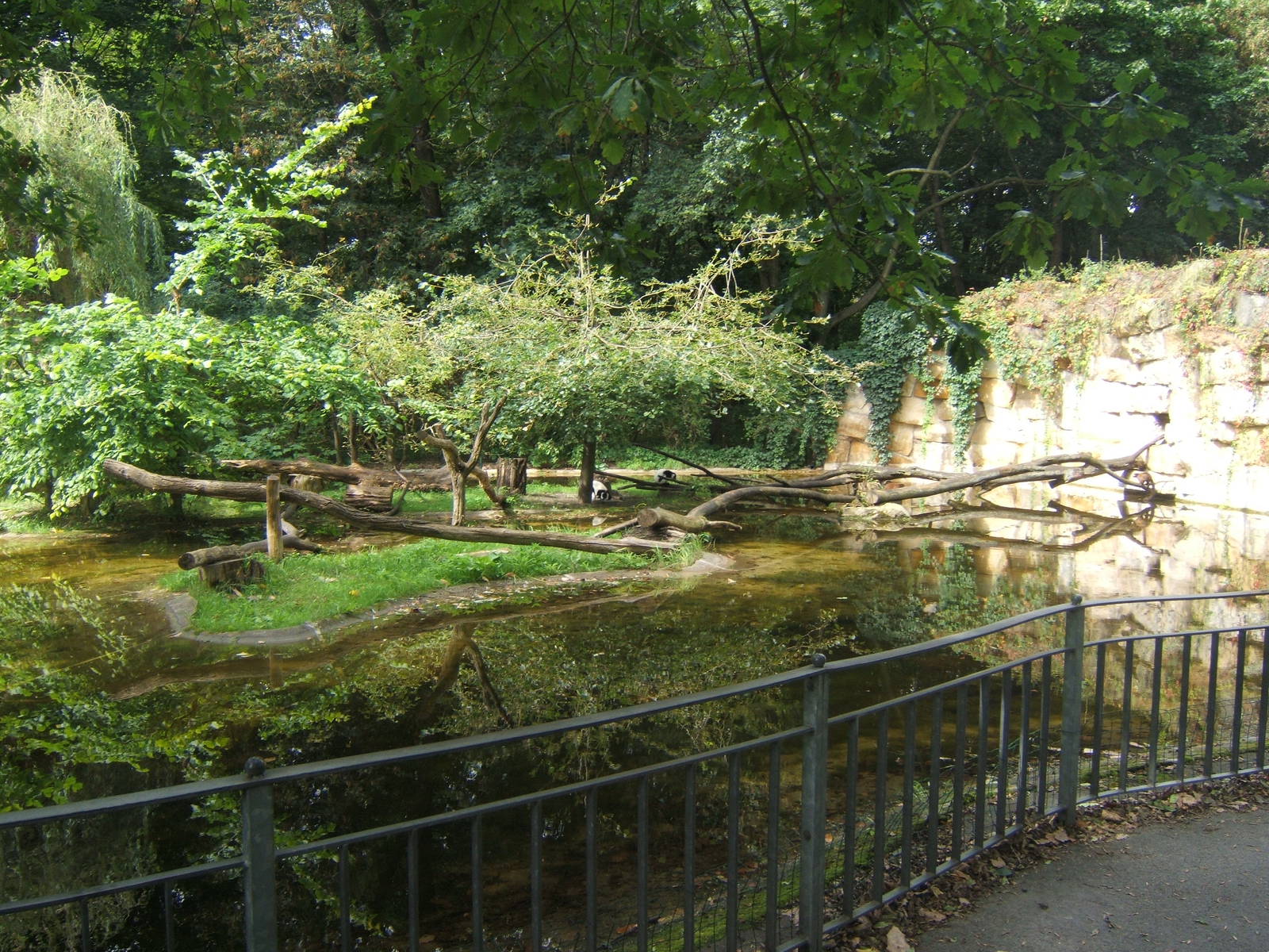 View of Lemur Island
