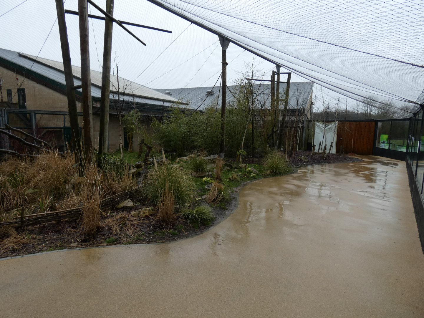 View of 'Lemur Loop'