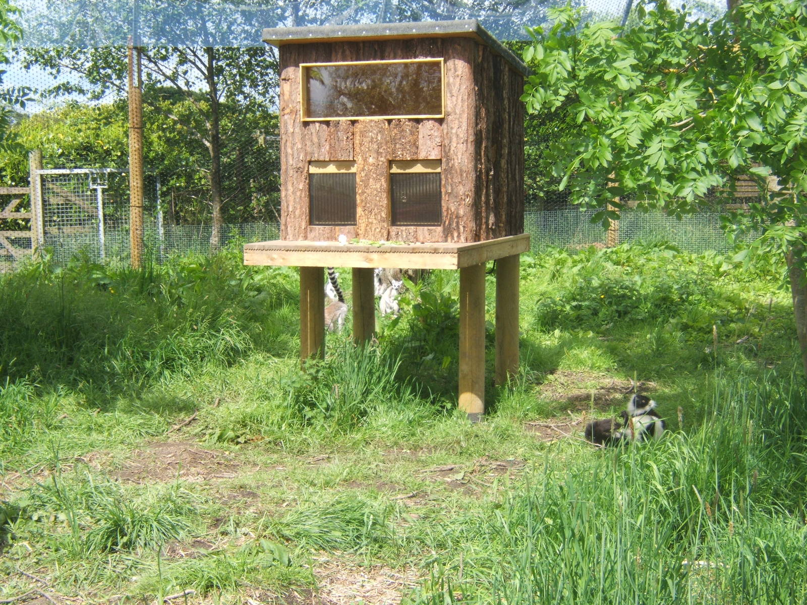 View of Lemur Walk through