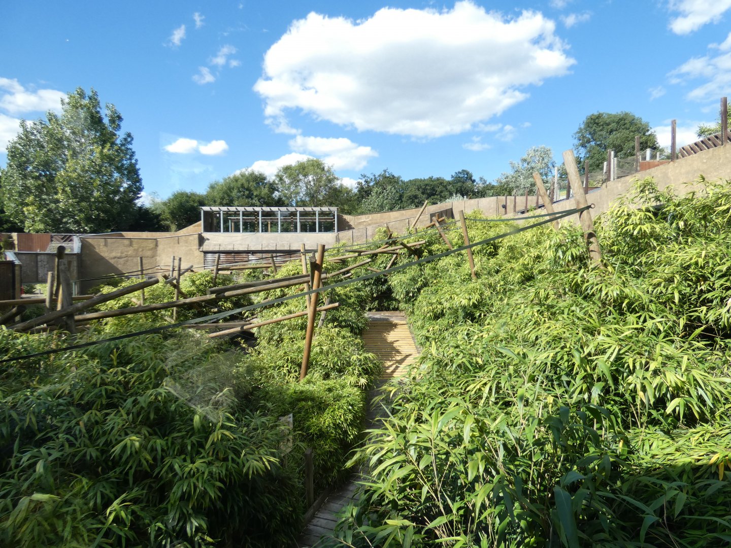 View of Lemur walk-through
