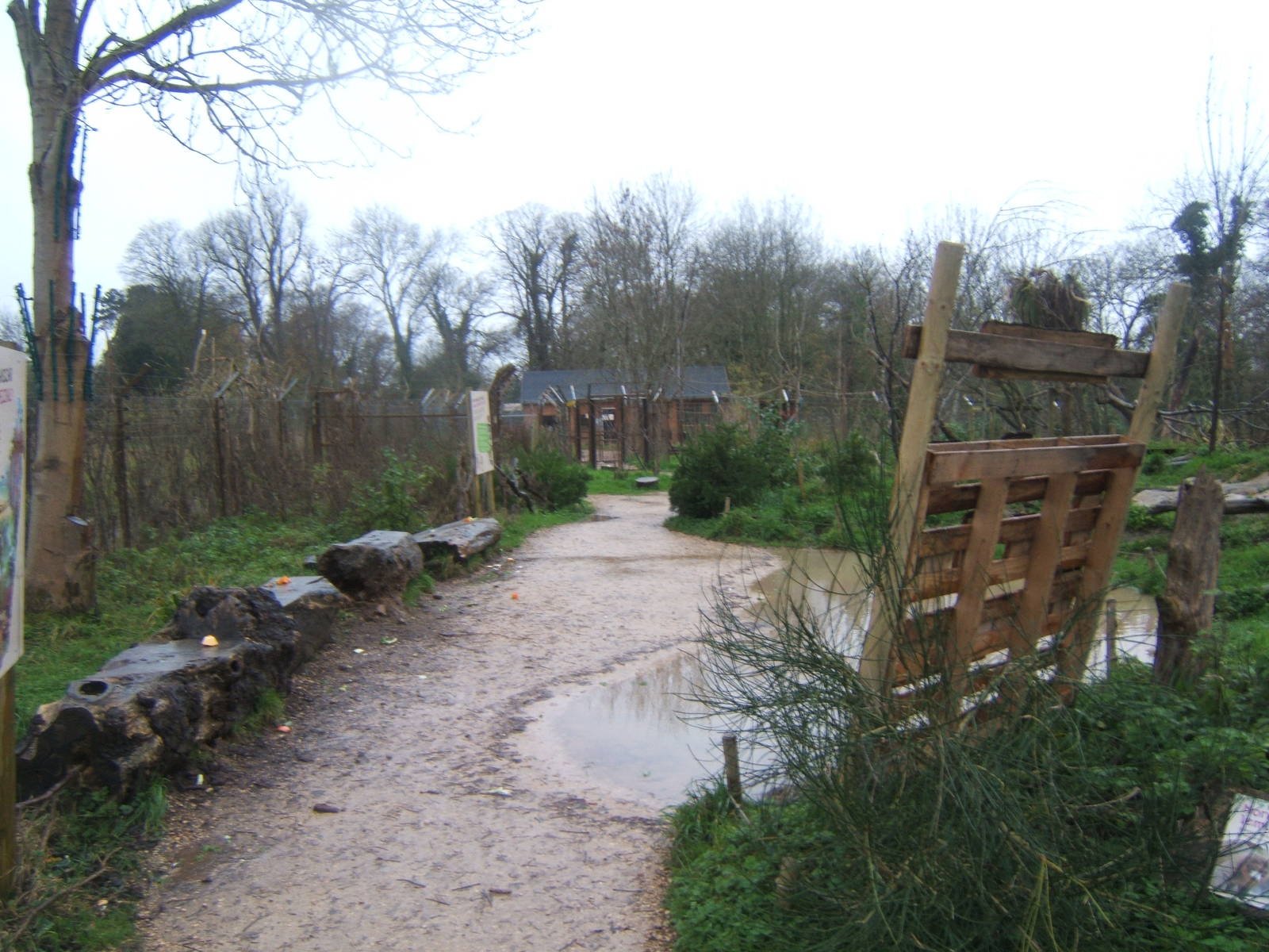 View of Lemur walk throughs