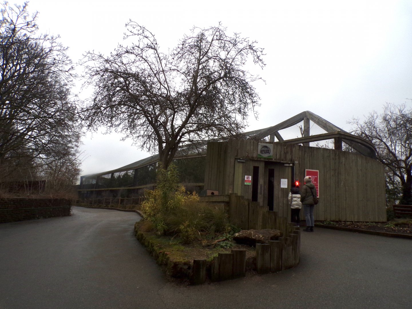 View of lemur walkthrough 11.2.25