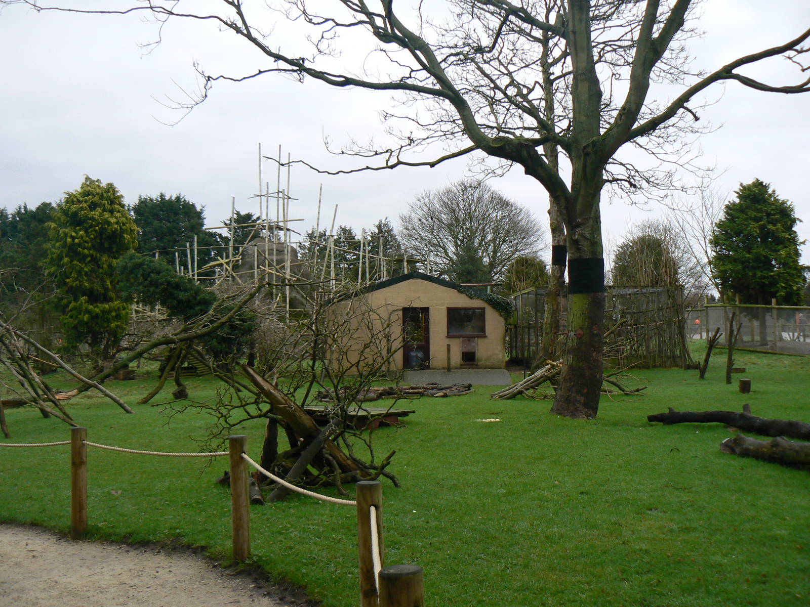 View of Lemur Walkthrough - 24 January 2016