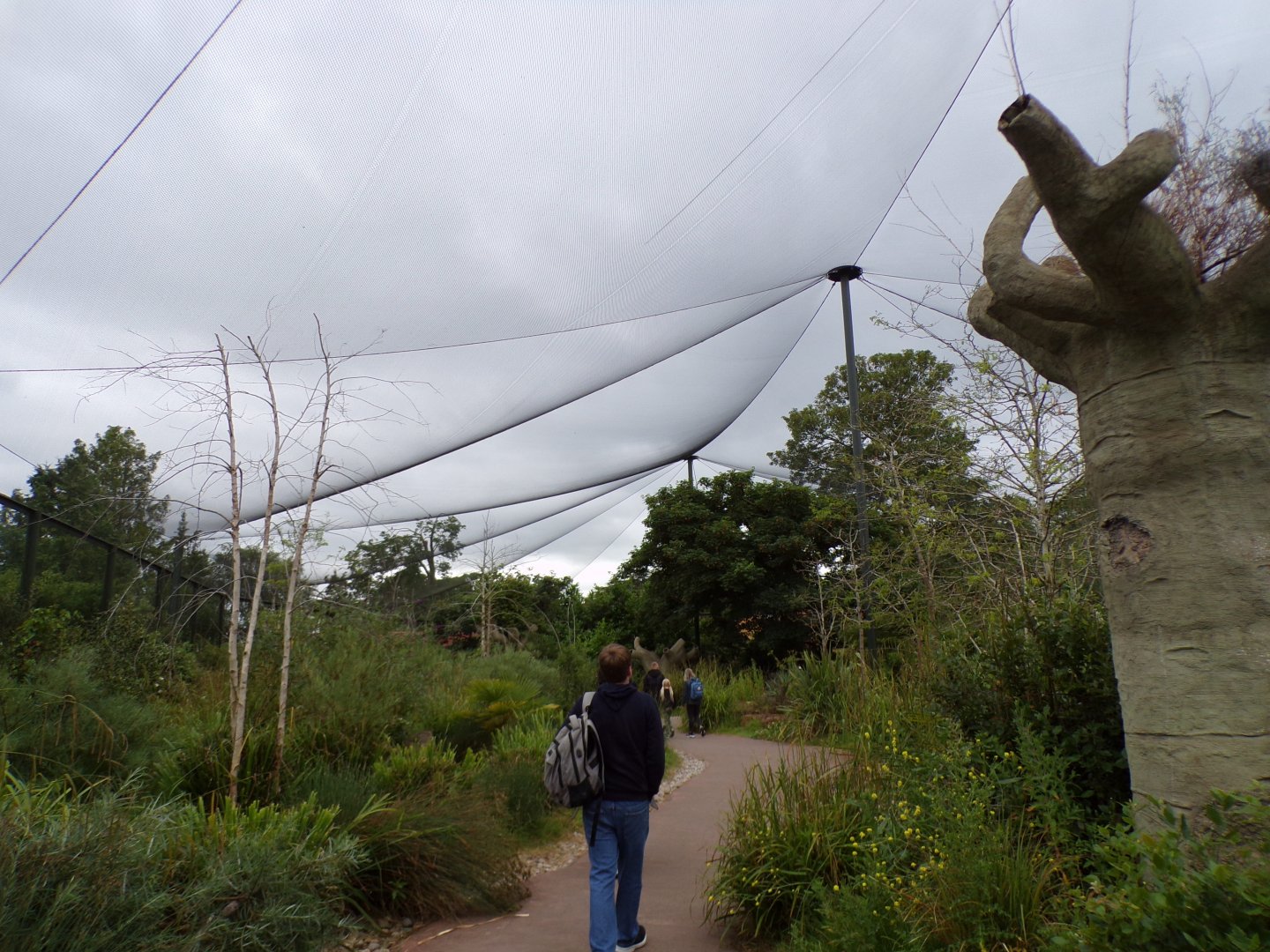 View of lemur walkthrough 29.6.24