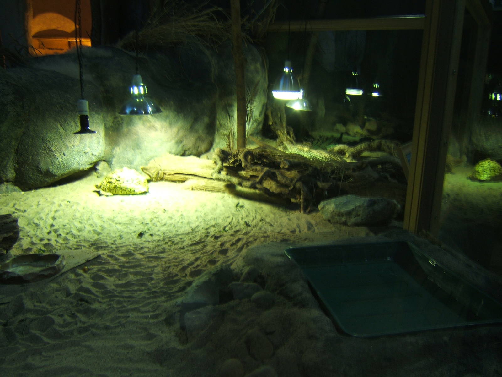 View of leopard and Sulcatta Tortoise exhibits