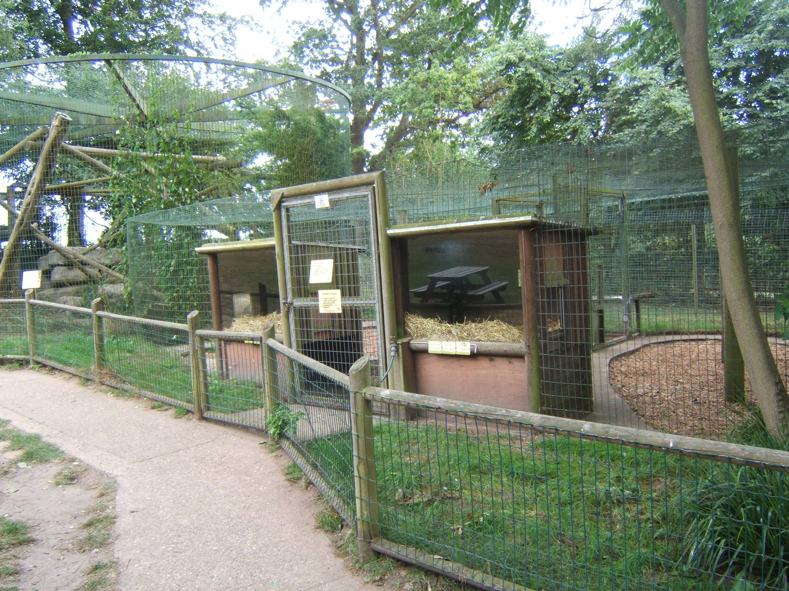 View of Leopard enclosure