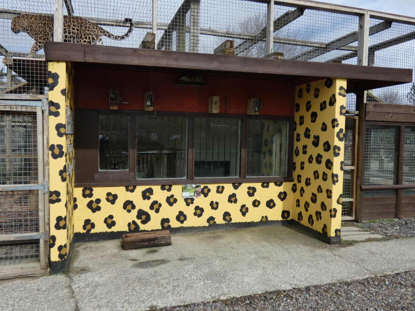 View of Leopard House