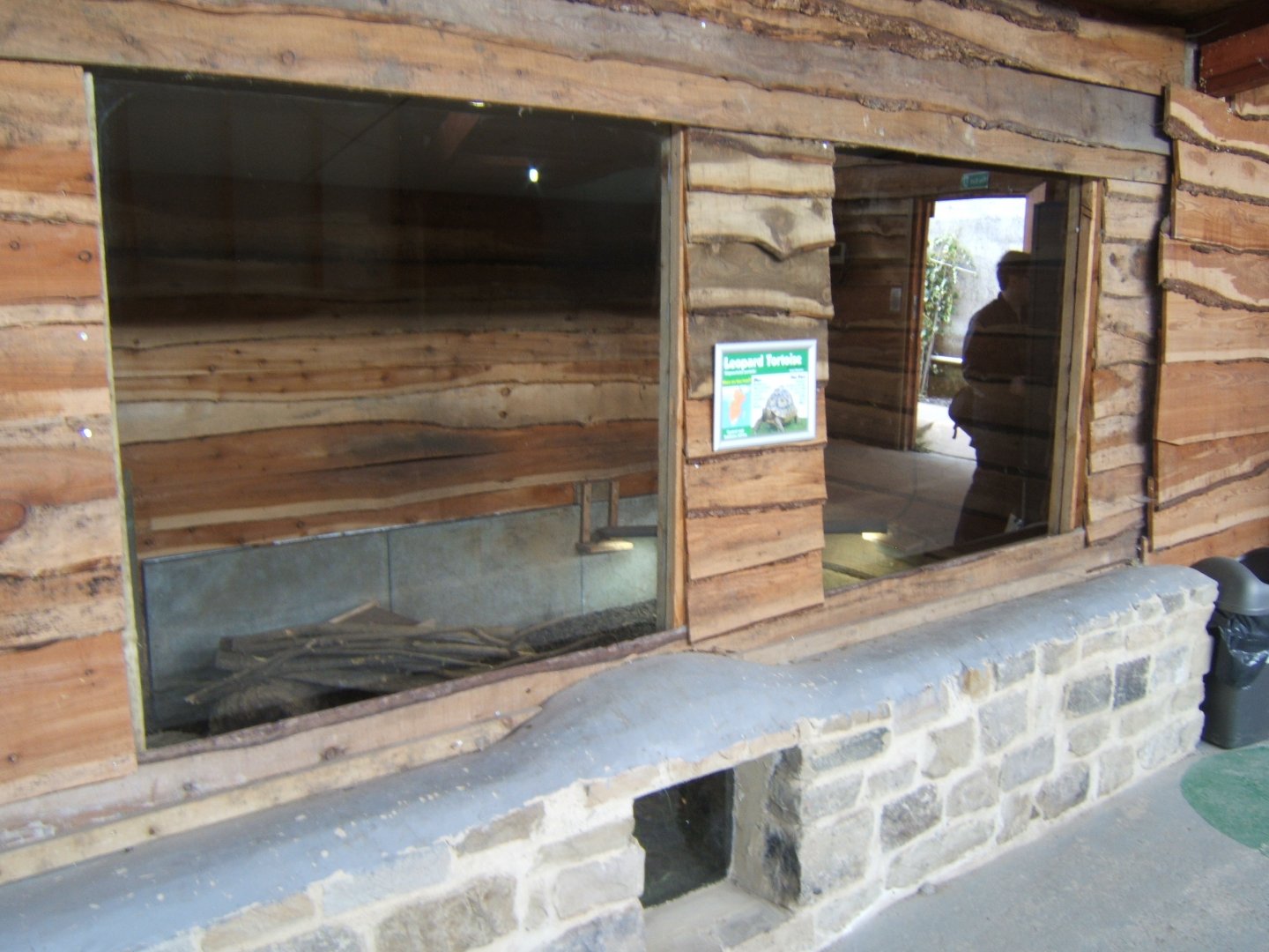 View of Leopard Tortoise enclosure