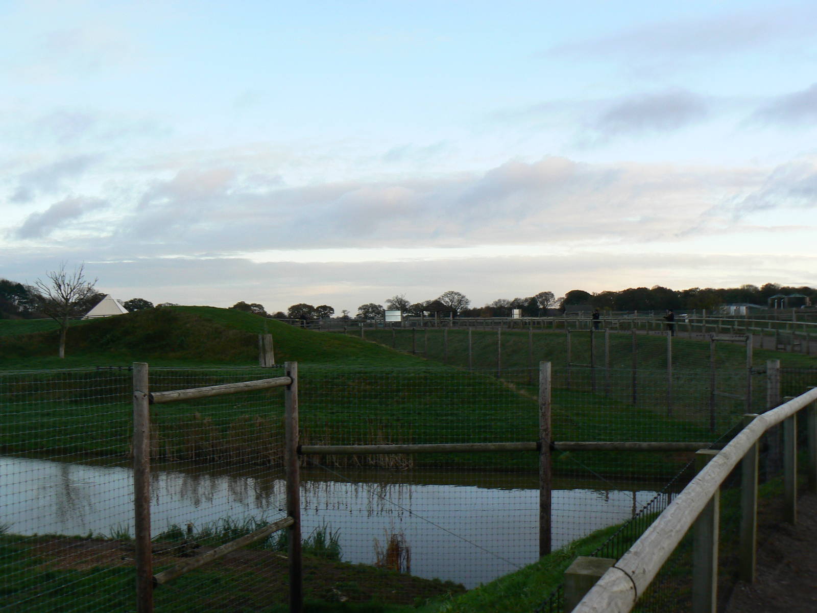 View of 'Lion Country' - 22 November 2015