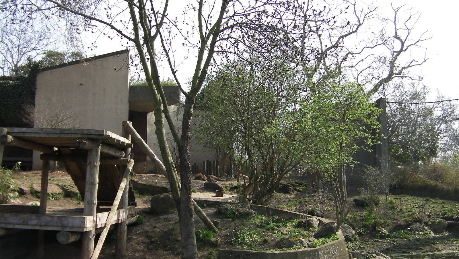 View of Lion Enclosure - 24.03.2012