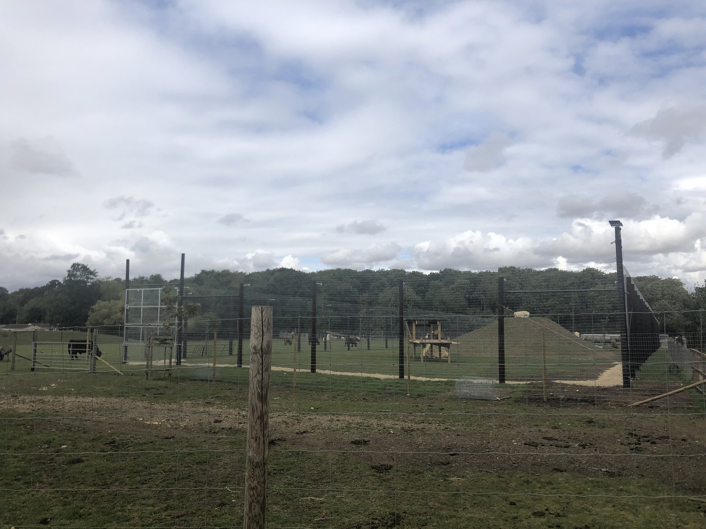 View of Lion Enclosure From Car Park