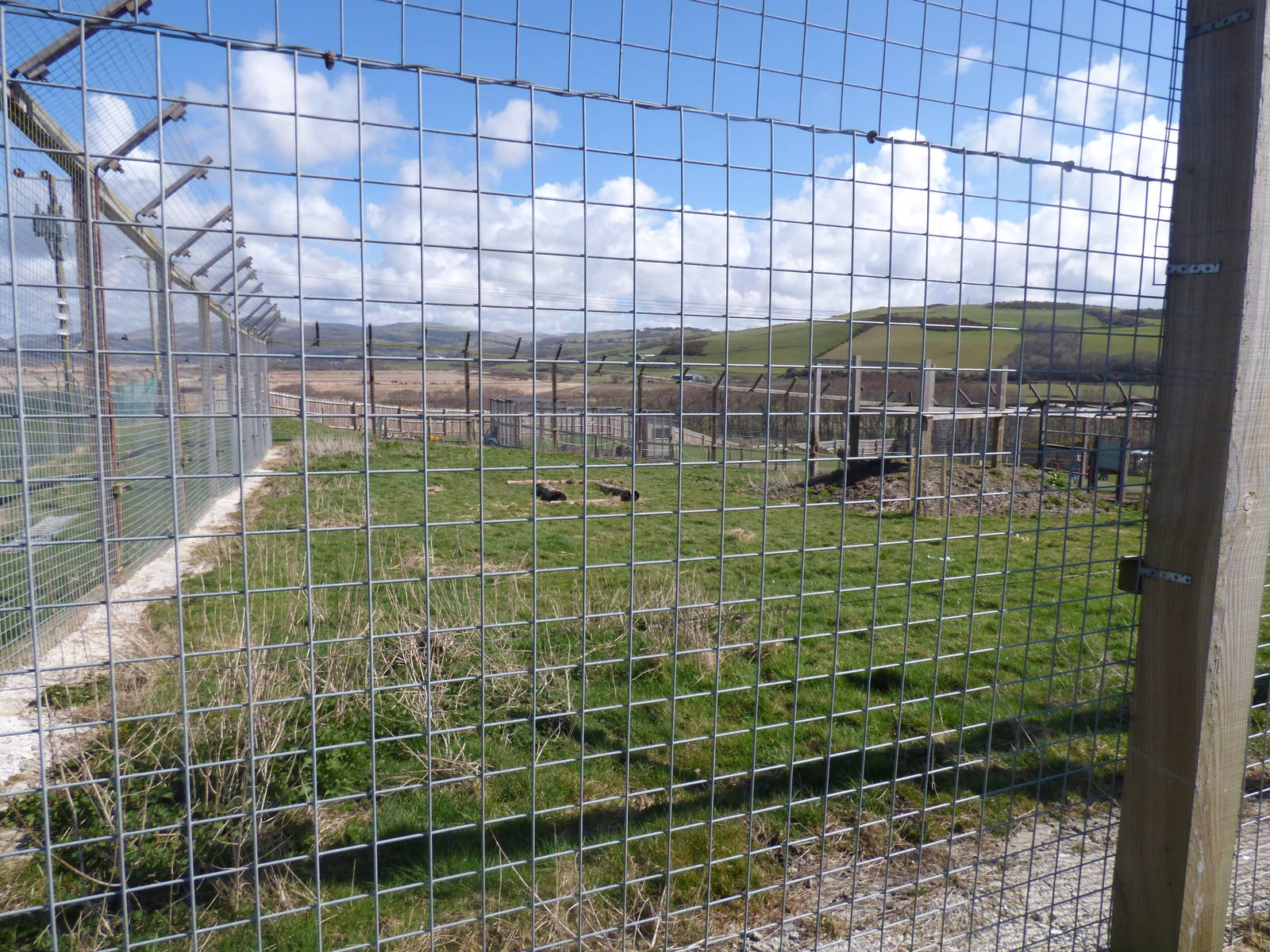 View of Lion Enclosure in Extension