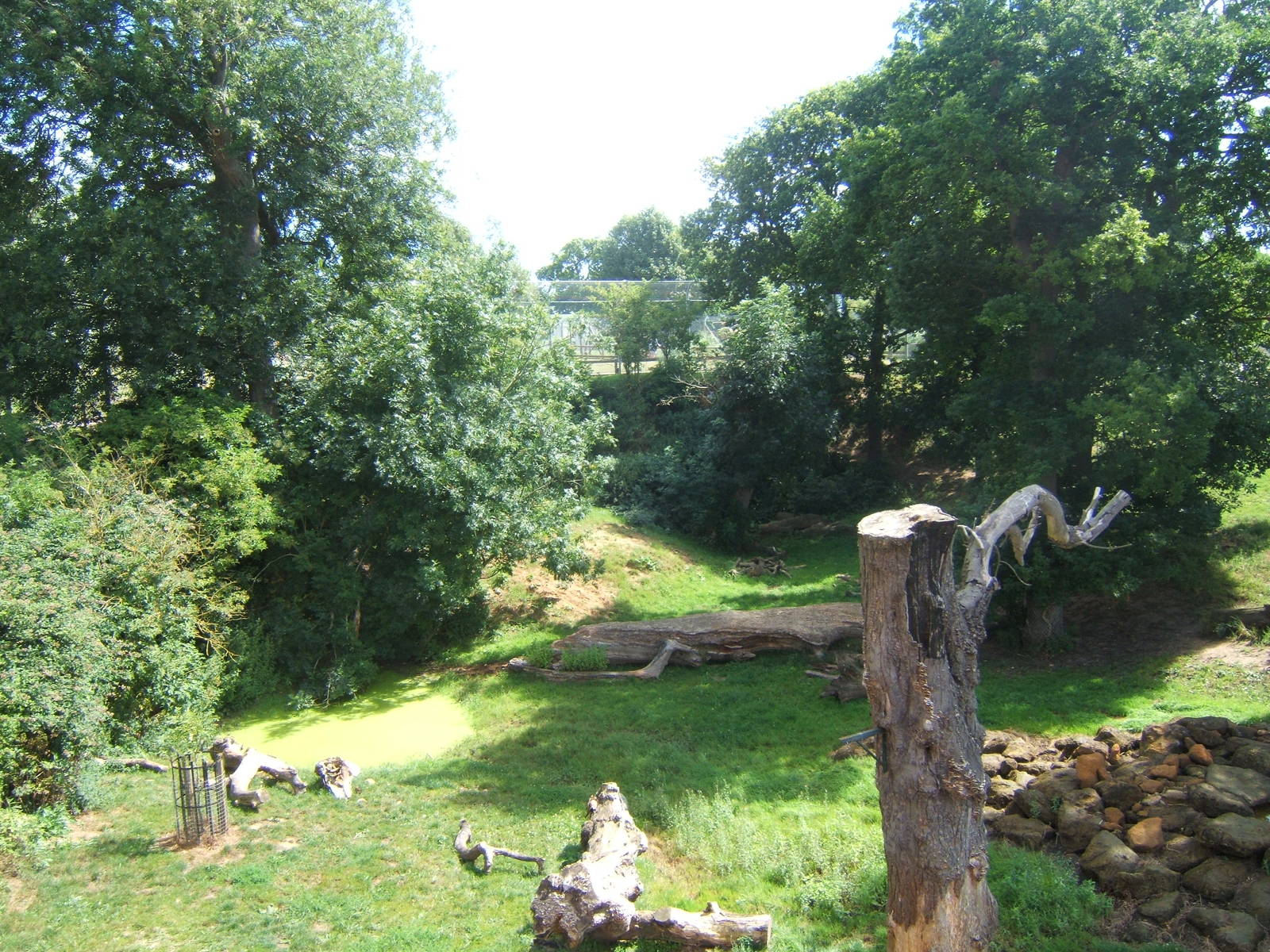 View of Lion enclosure