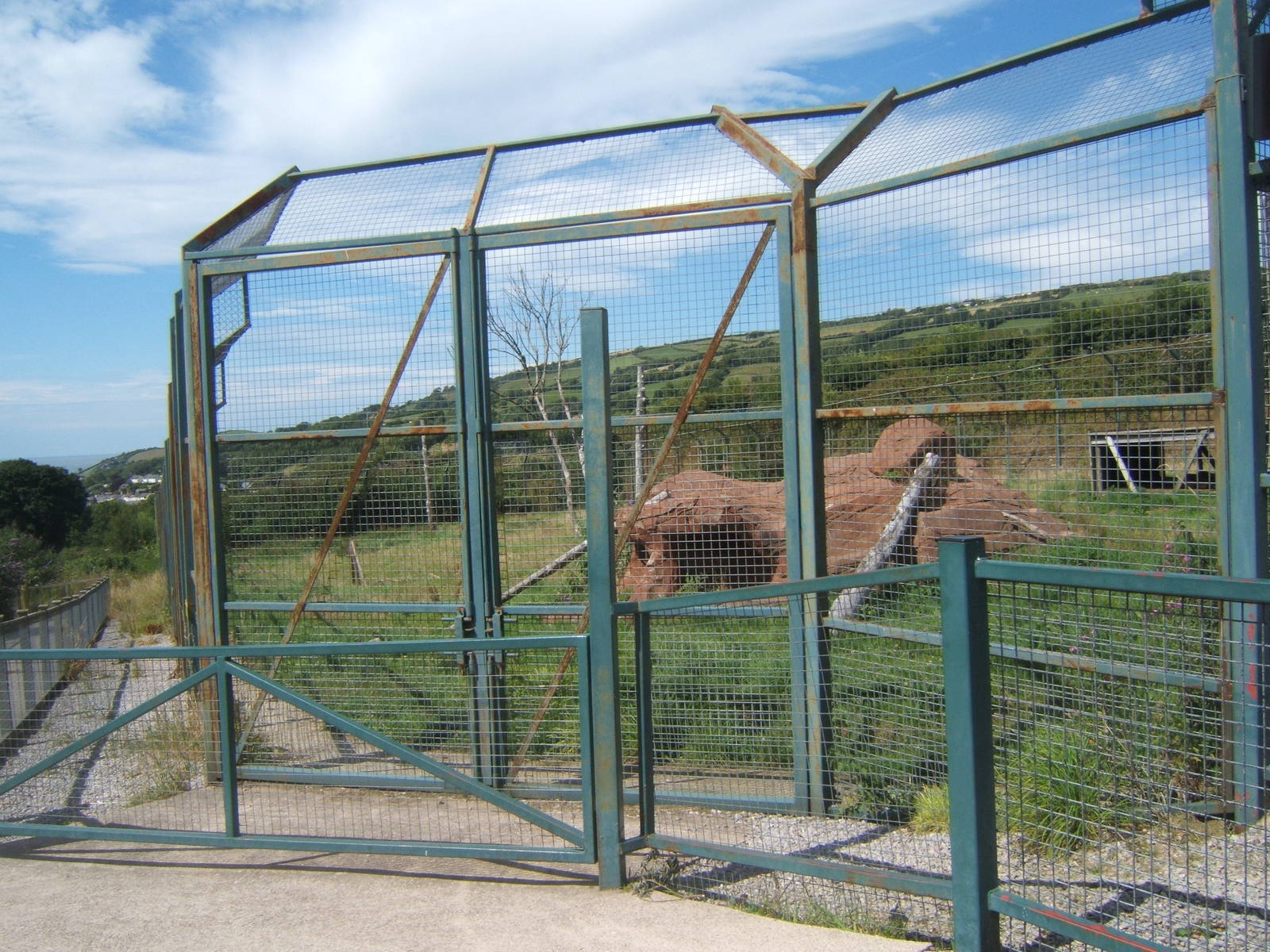 View of Lion enclosure