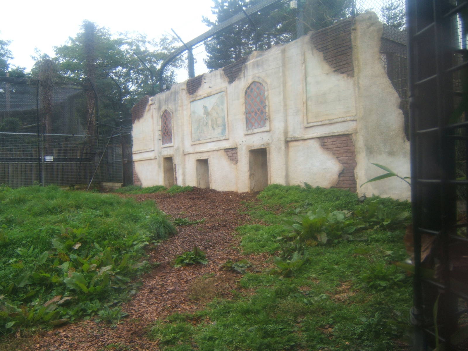 View of Lion enclosure