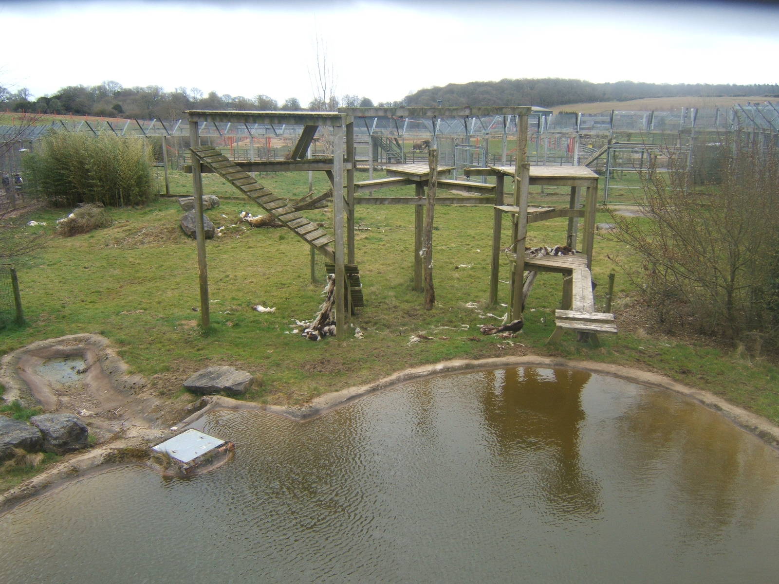 View of Lion enclosure